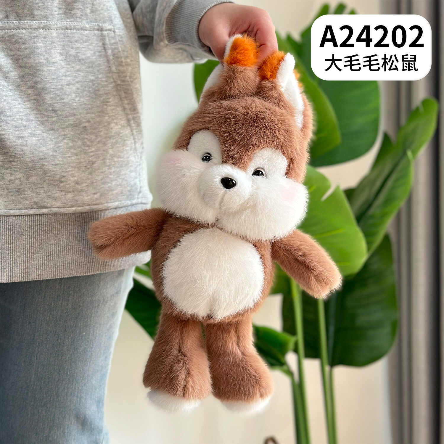 A24202