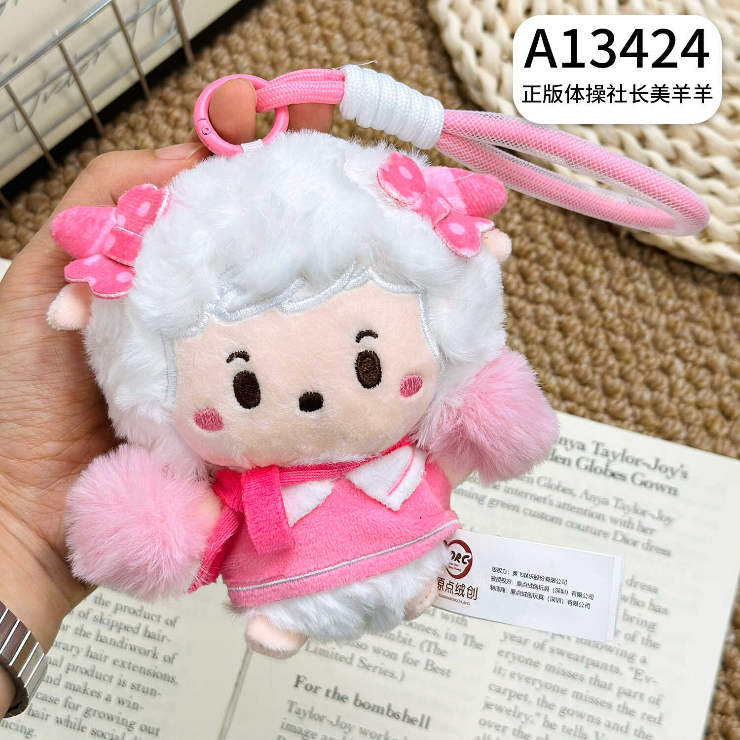 A13424