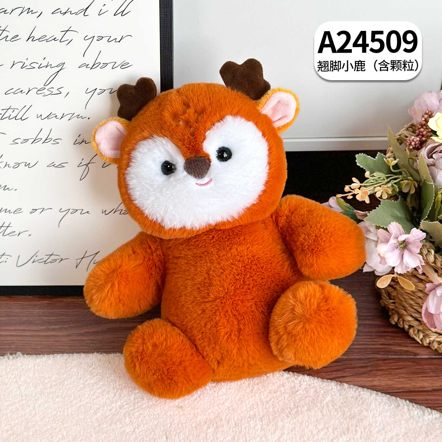 A24509