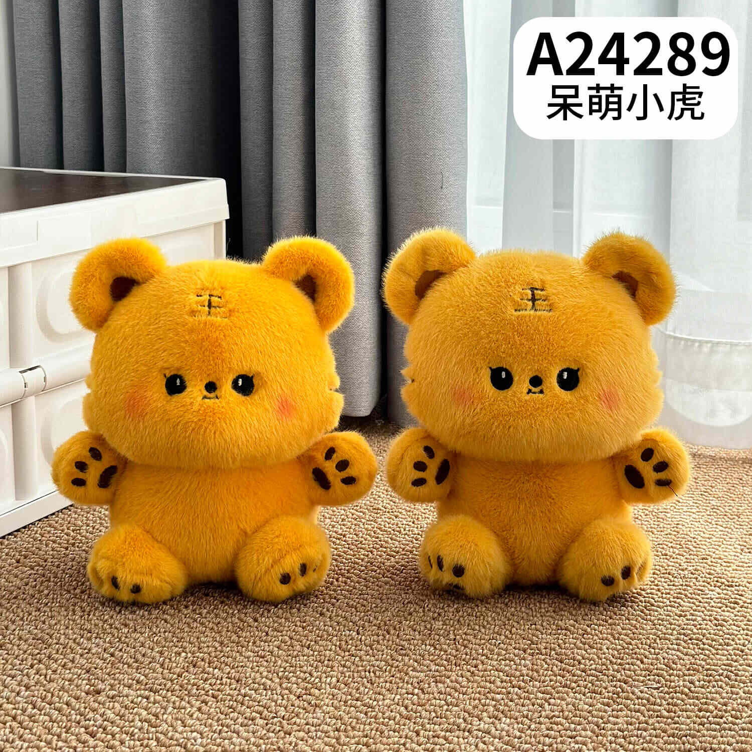 A24289