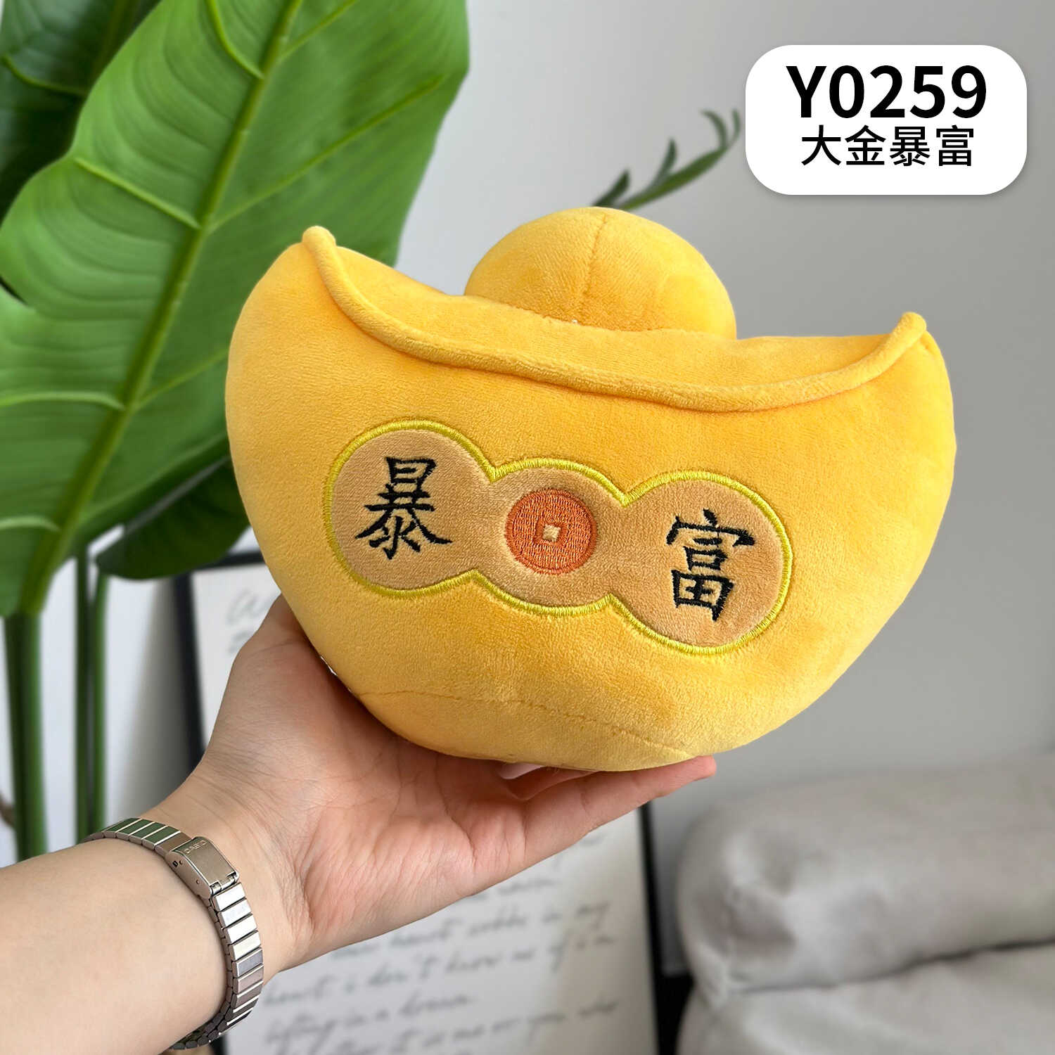 Y0259