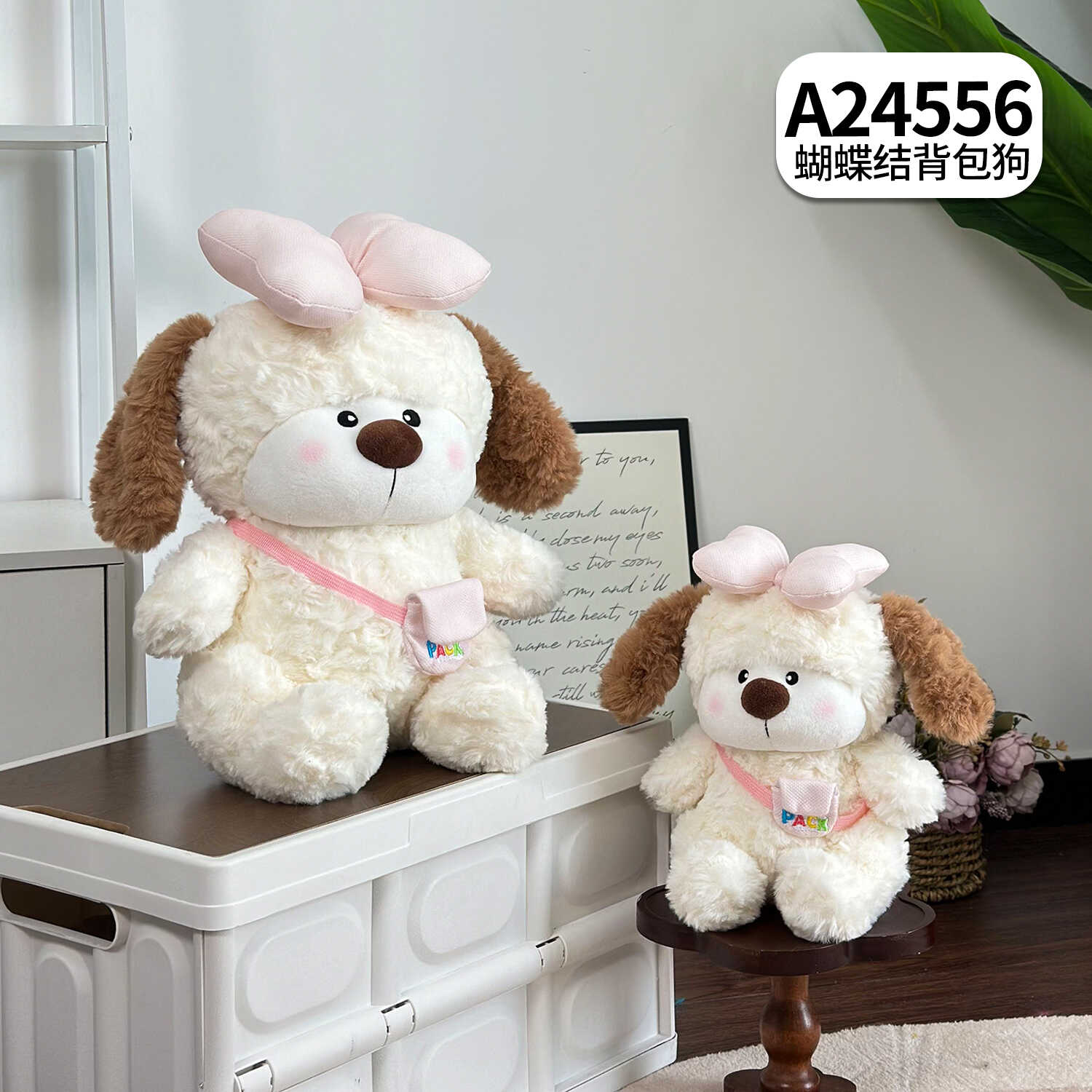 A24556