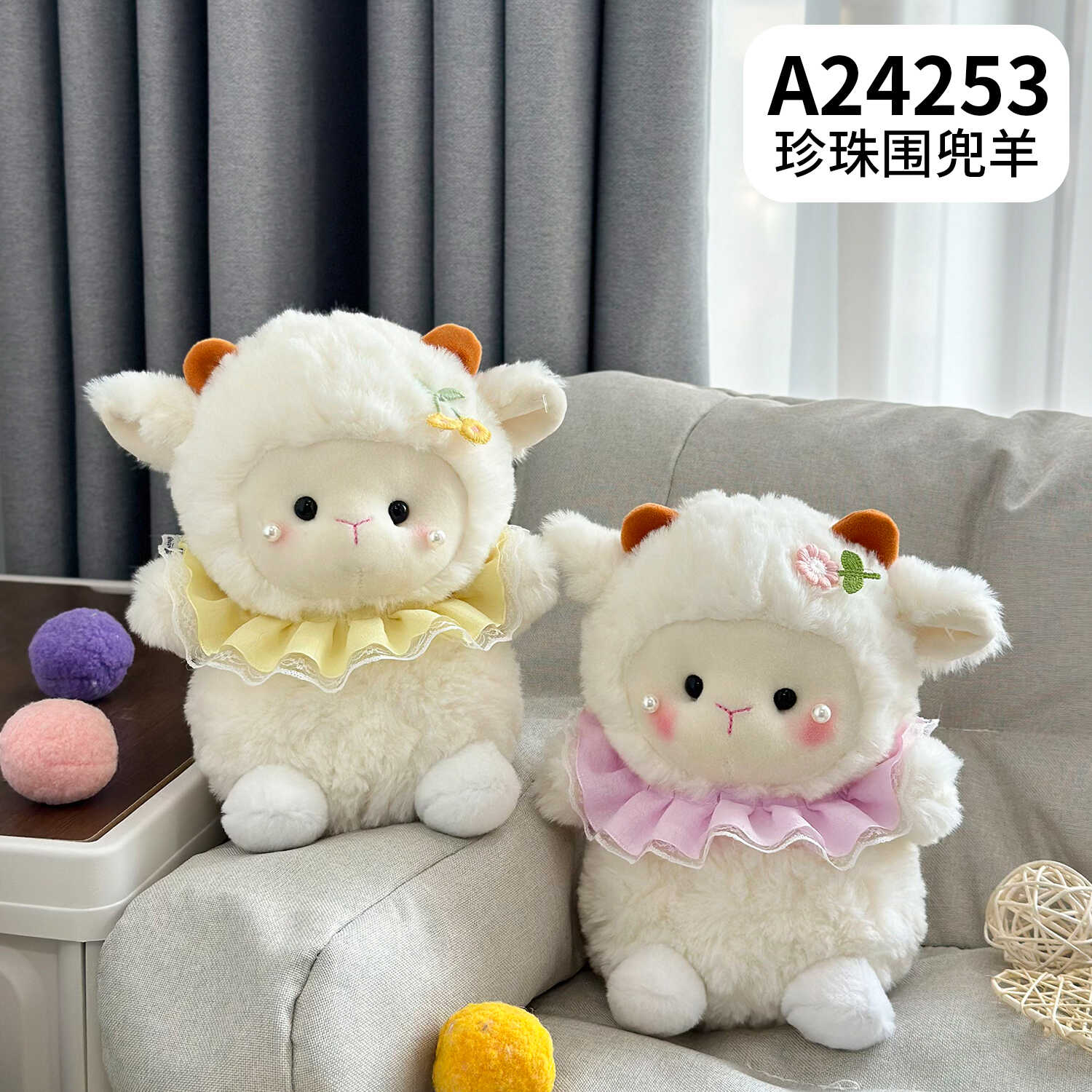 A24253