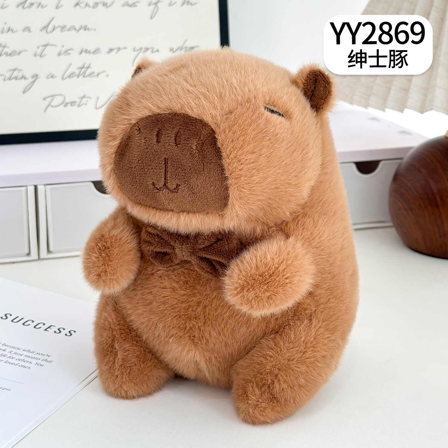 YY2869