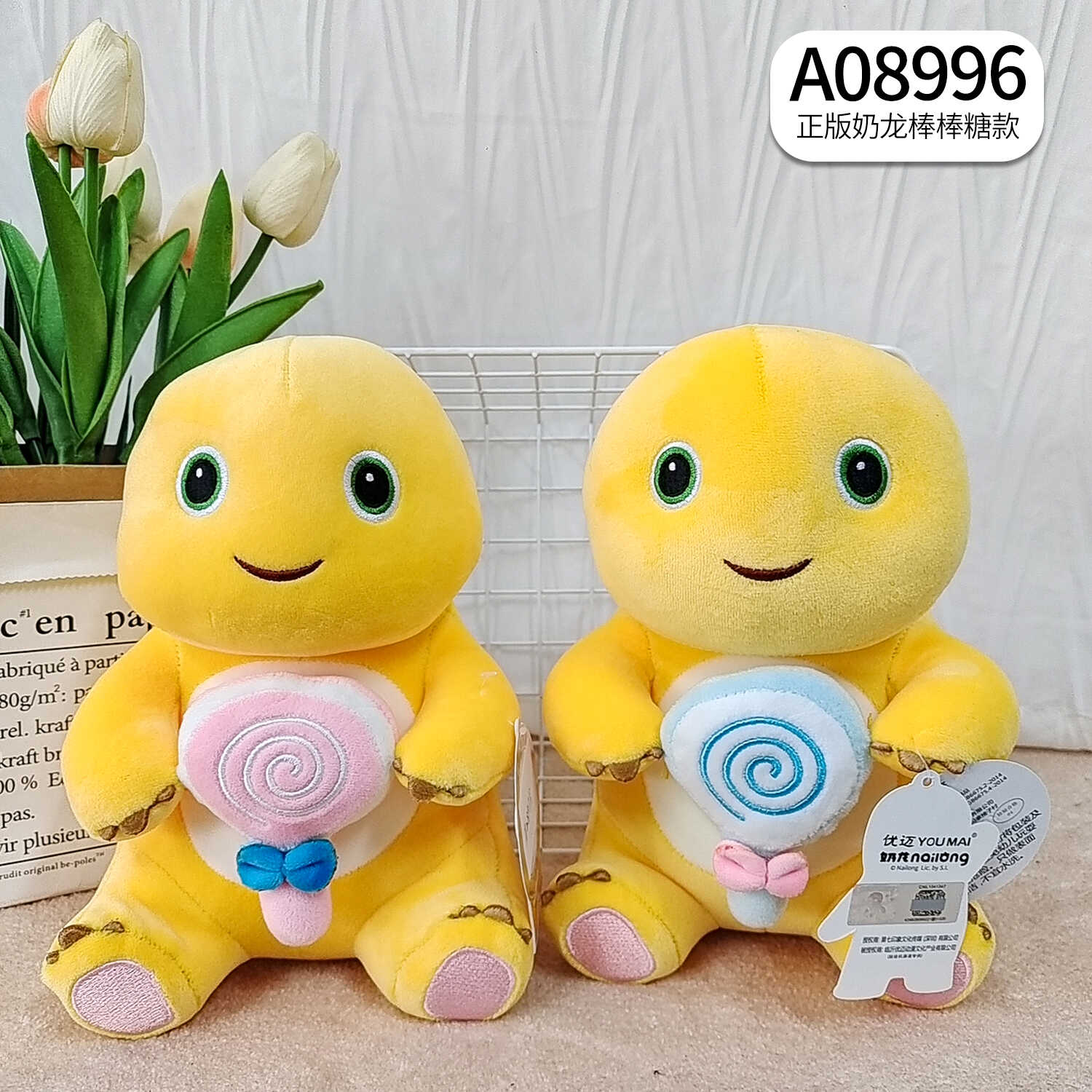 A08996