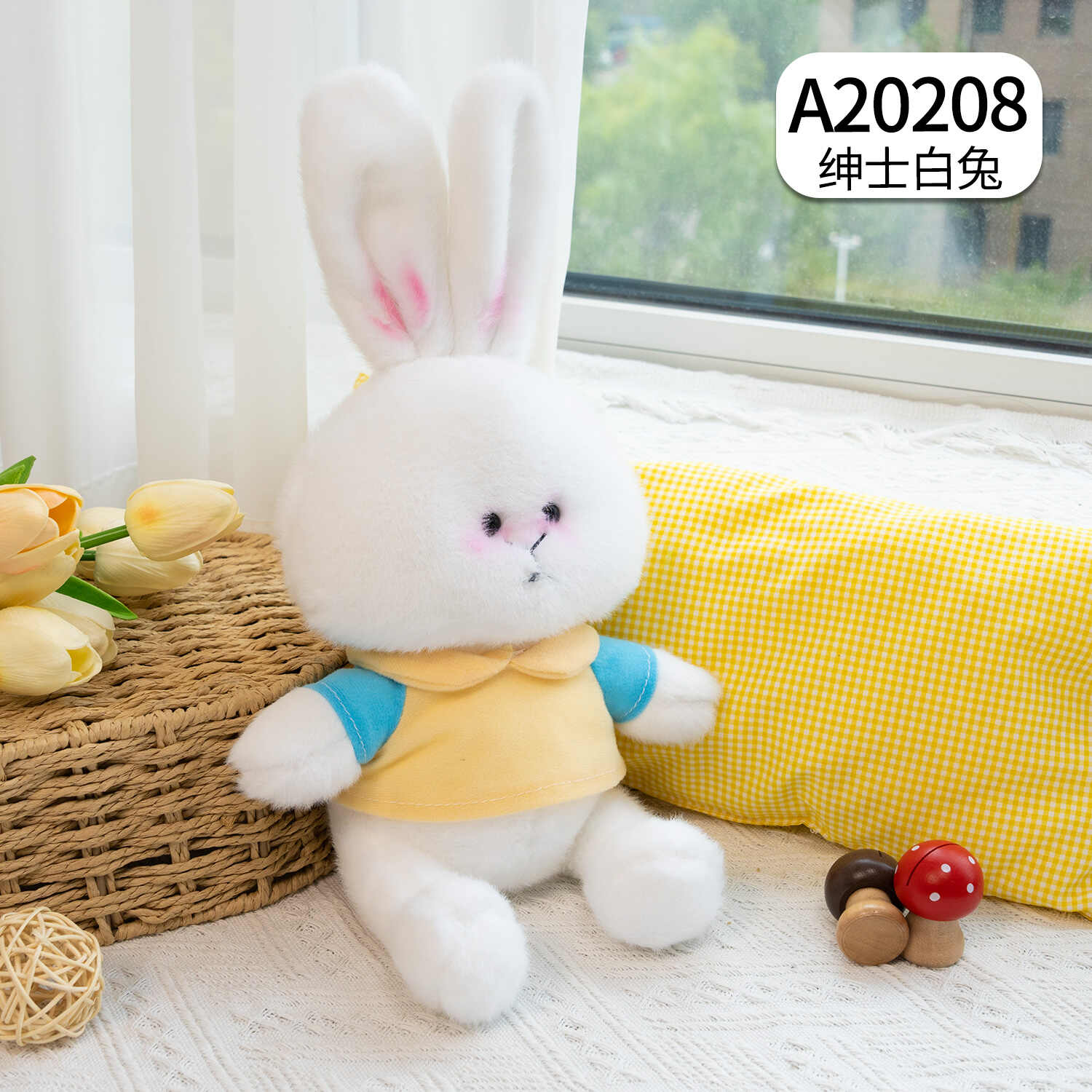 A20208