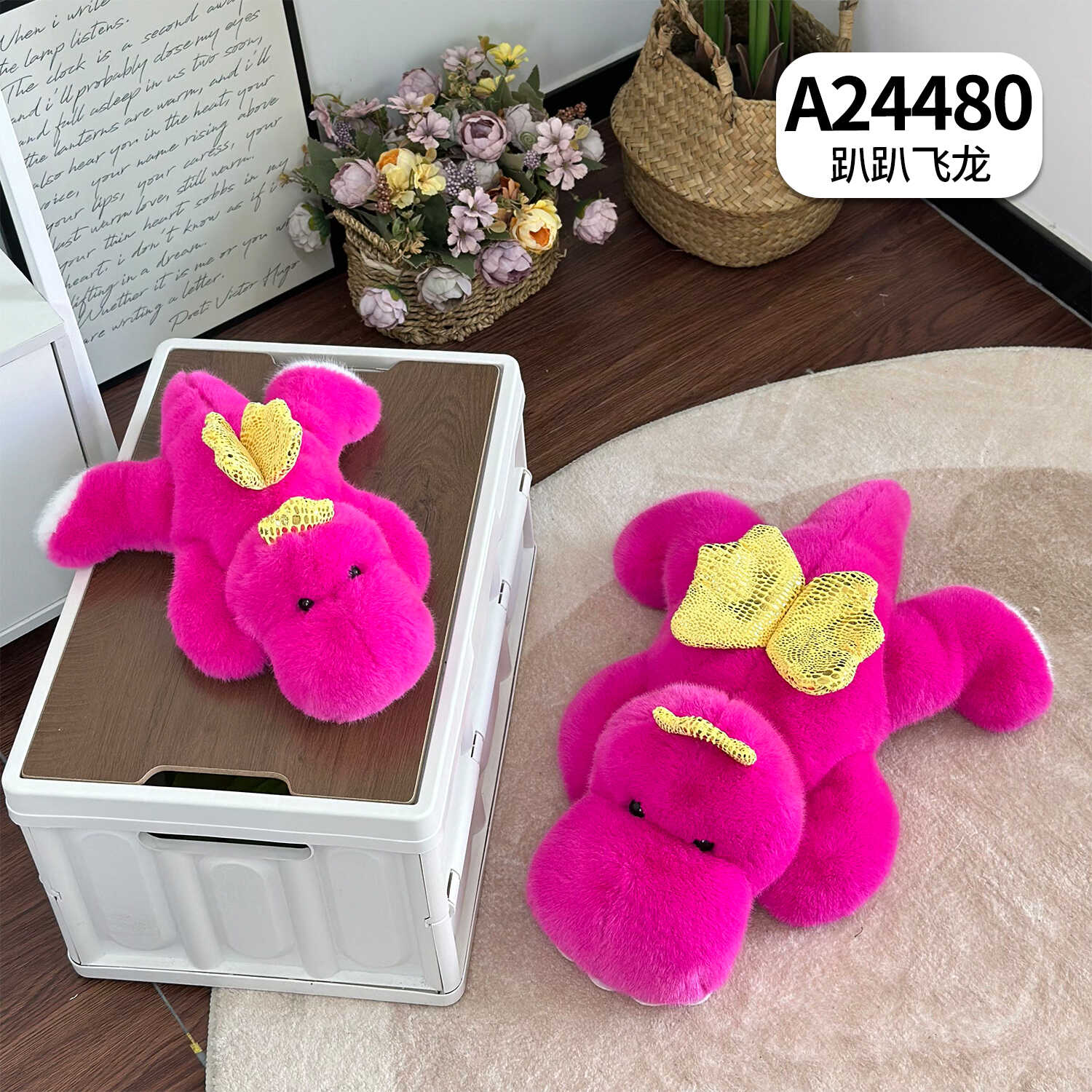 A24480