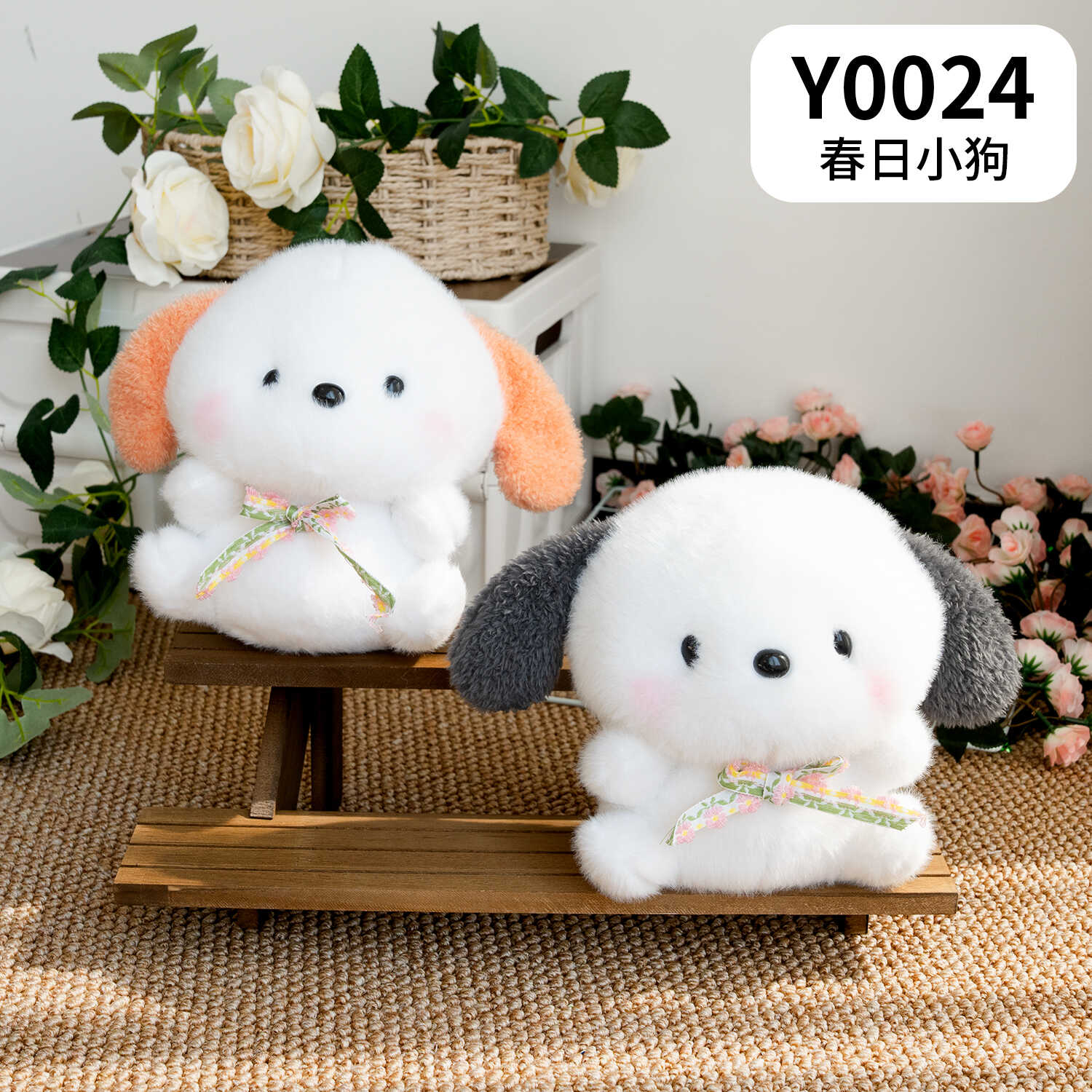 Y0024