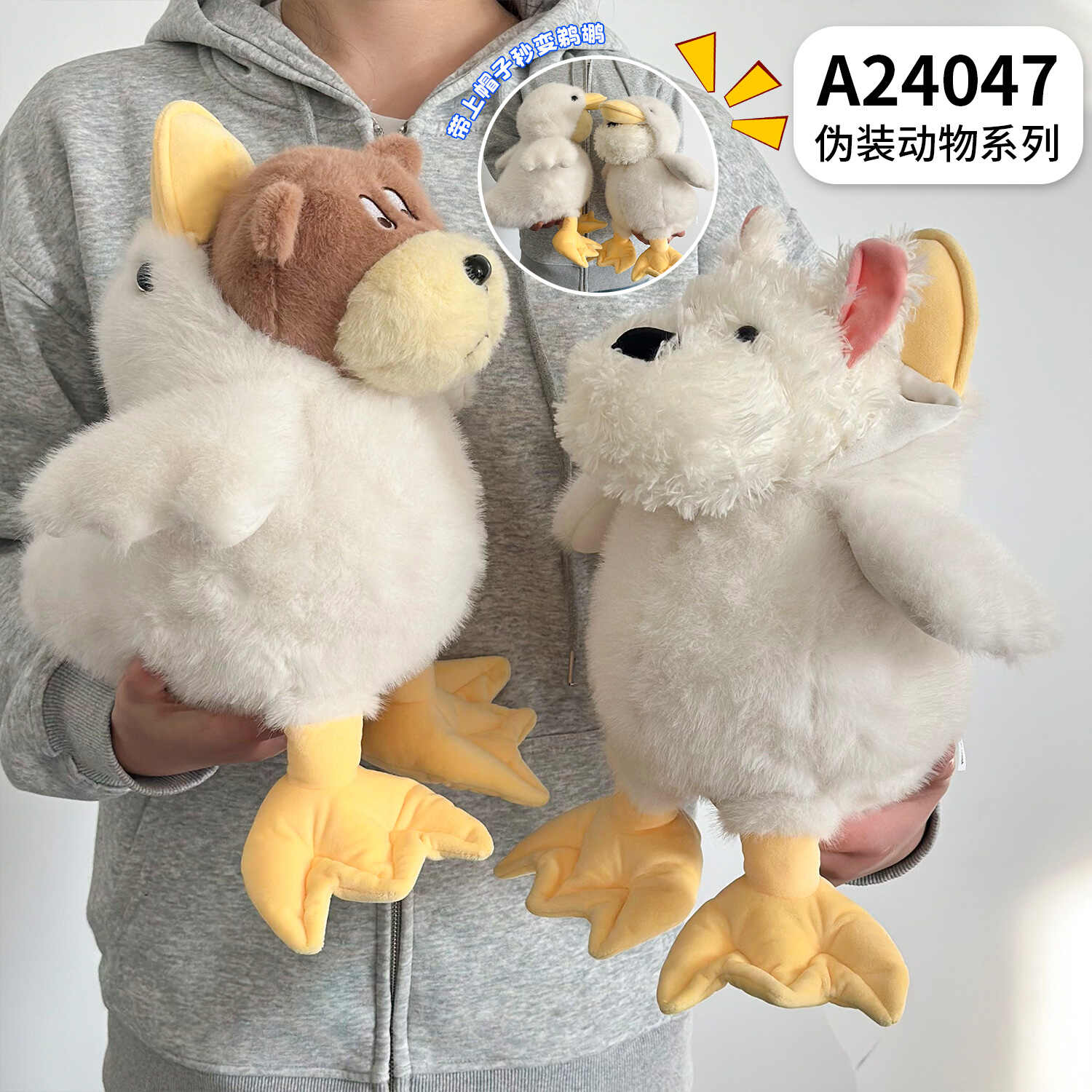 A24047
