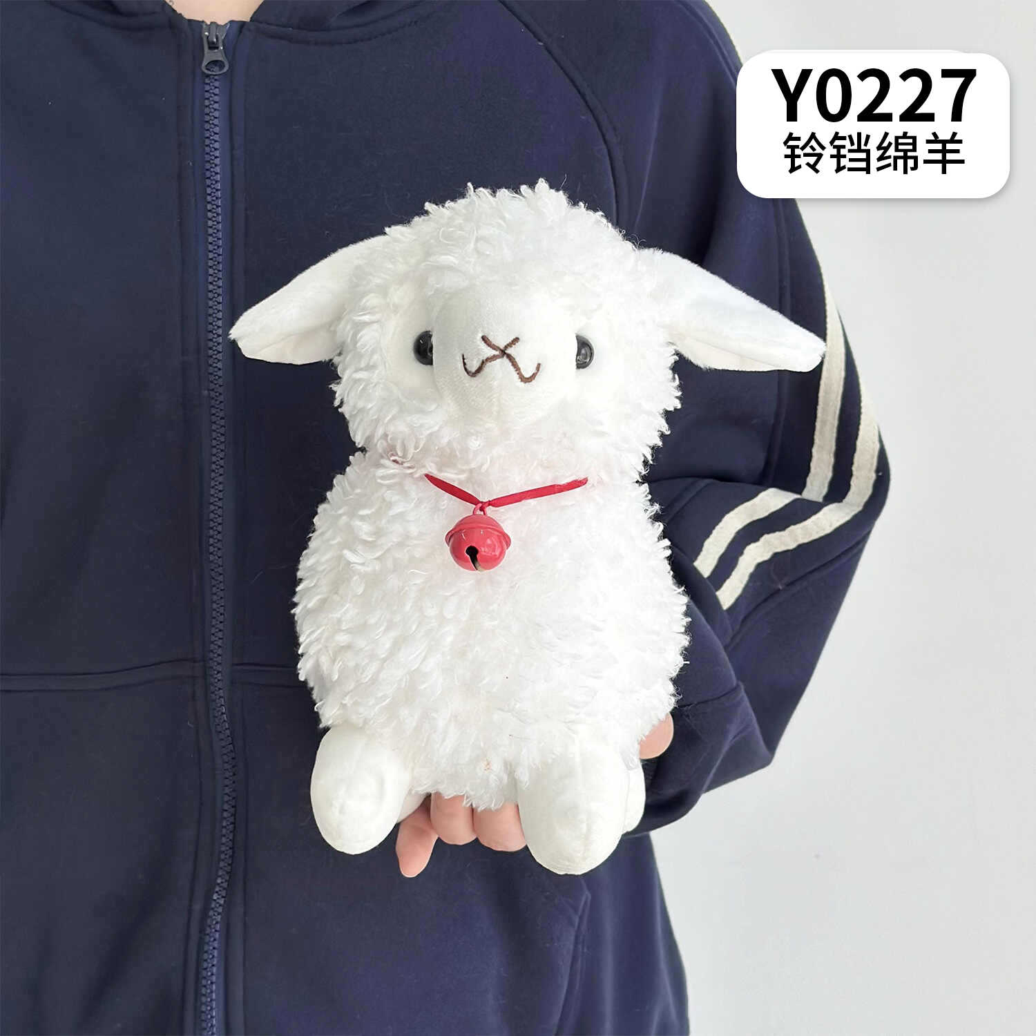 Y0227