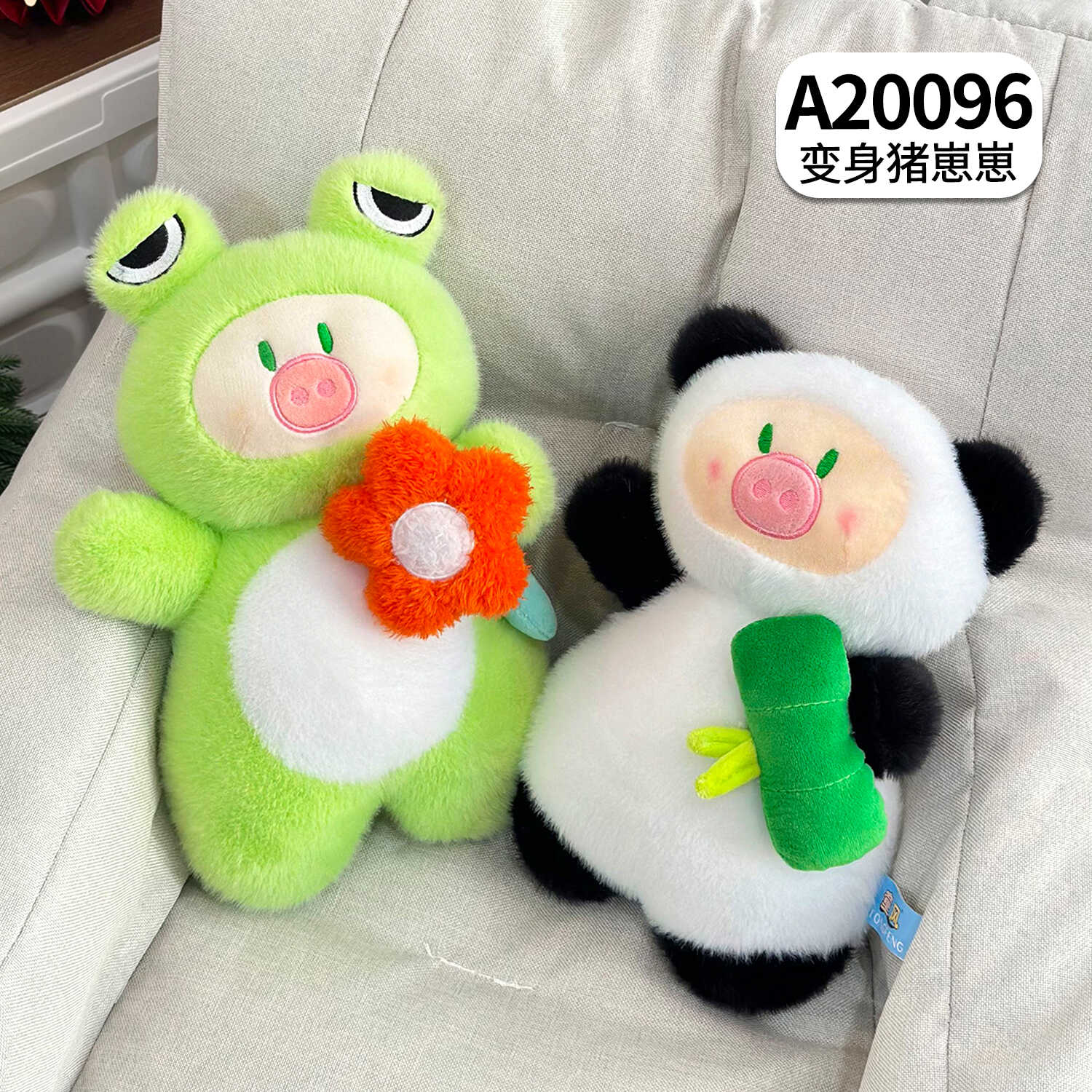 A20096