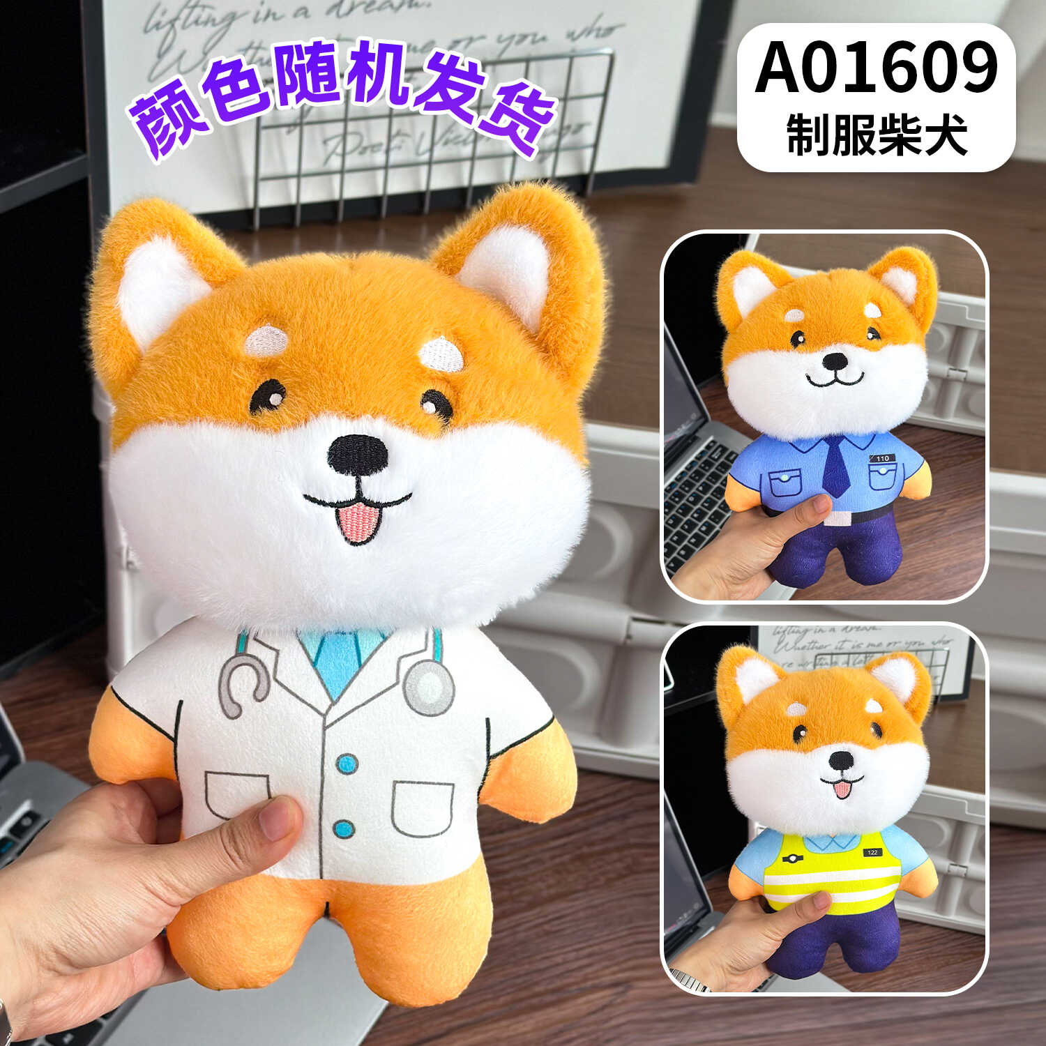 A01609