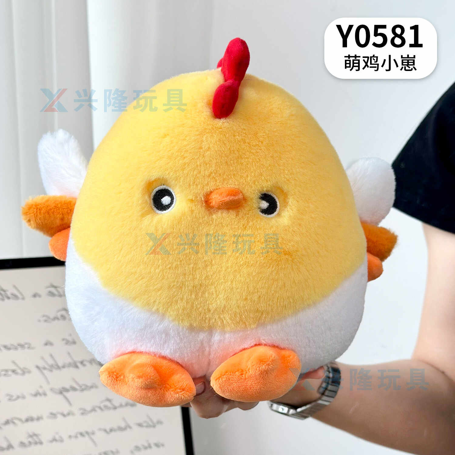 Y0581