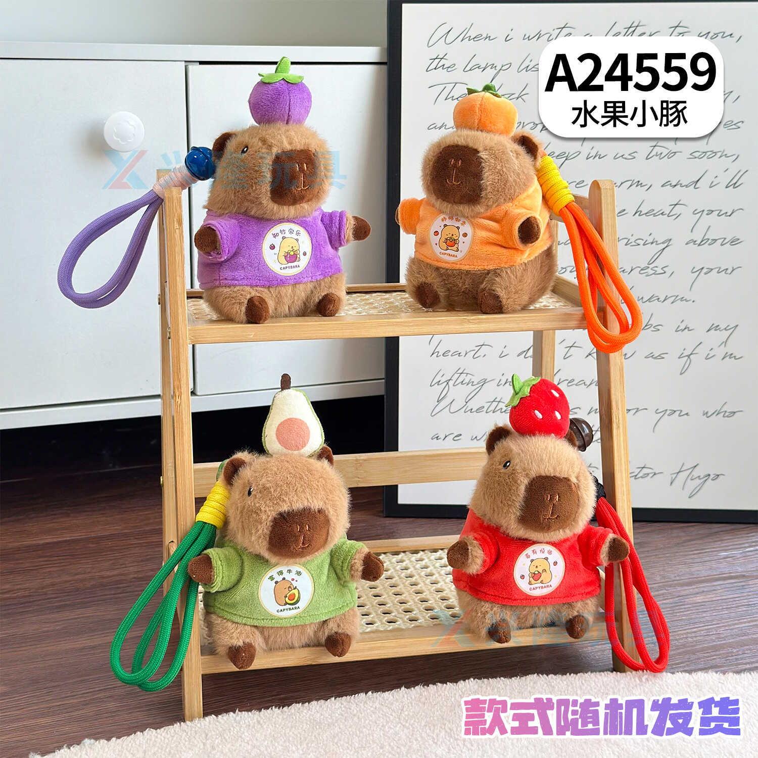 A24559