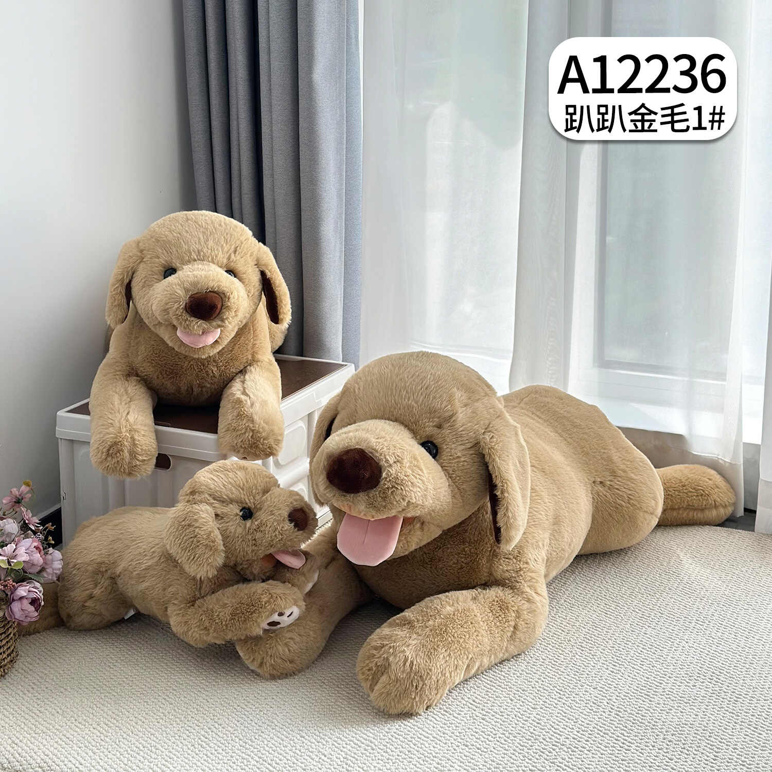 A12236