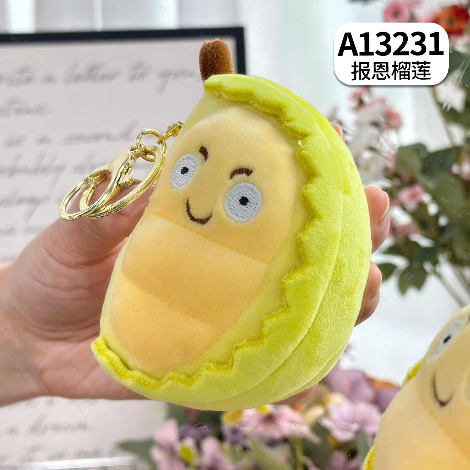 A13231