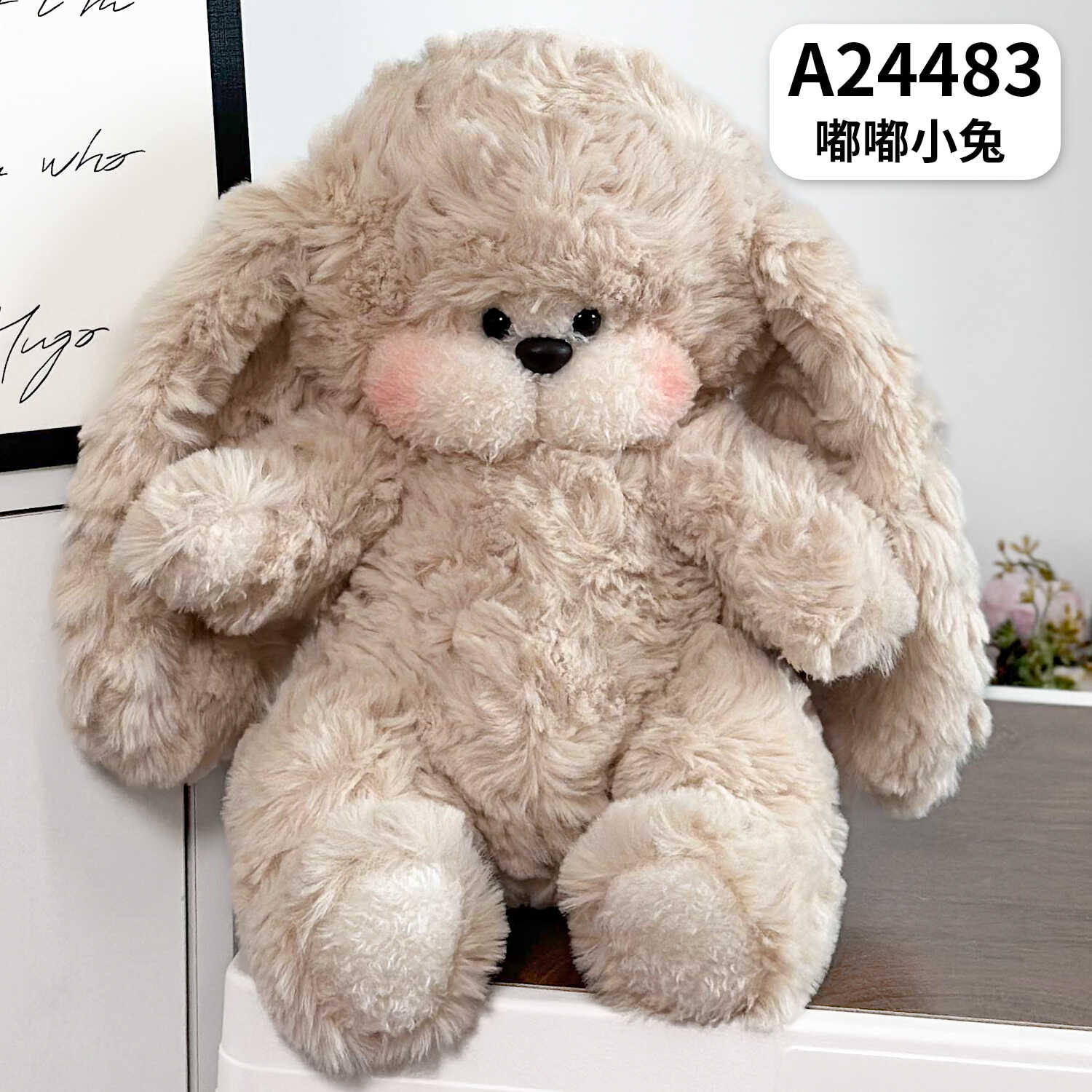 A24483