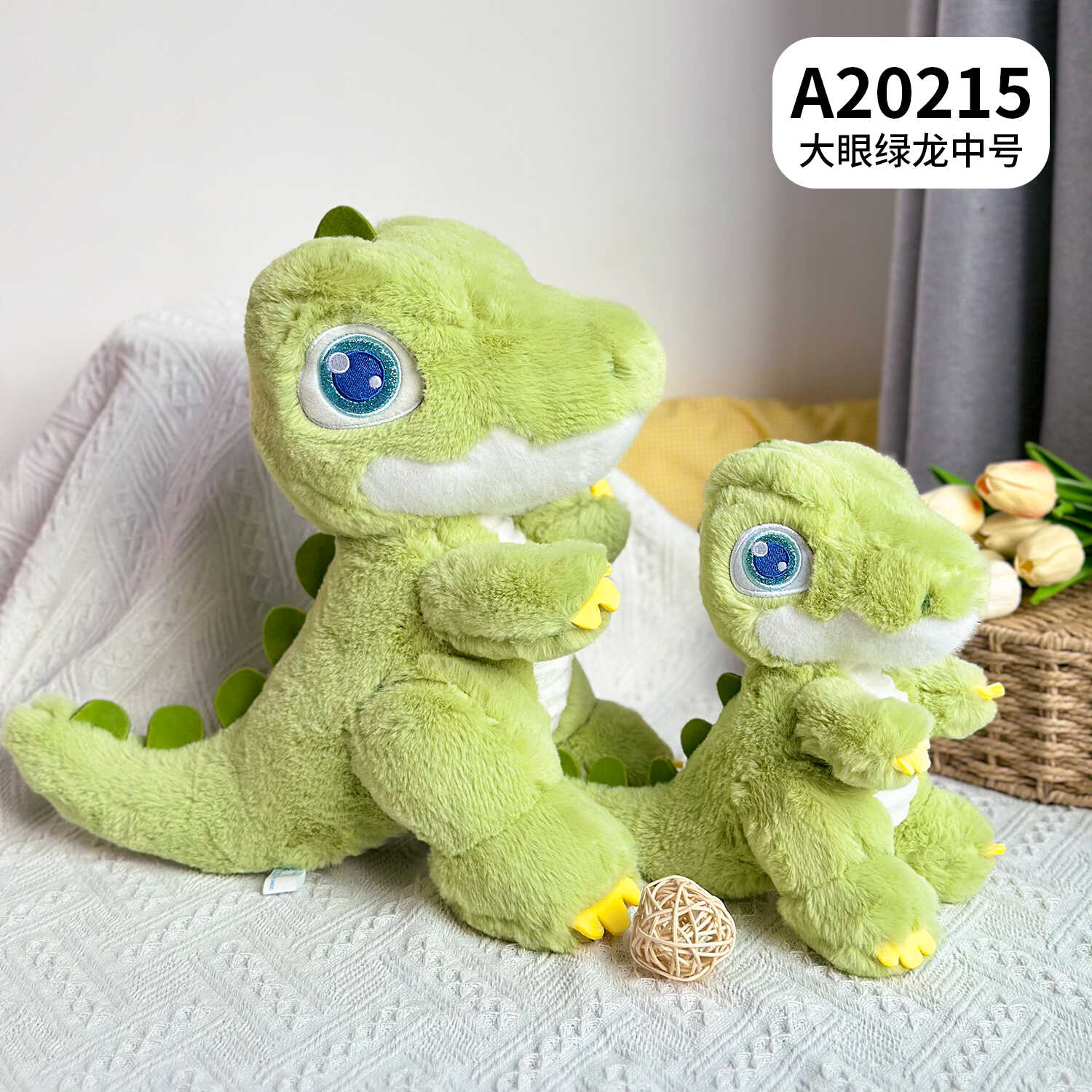 A20215