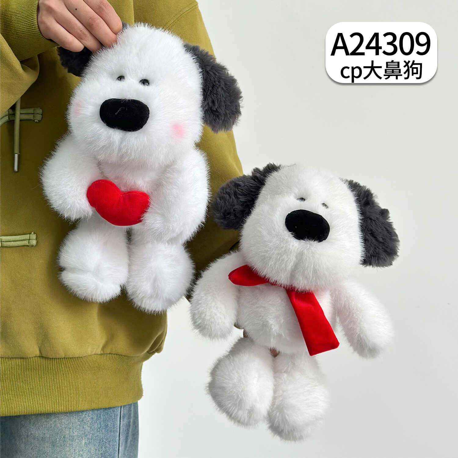 A24309