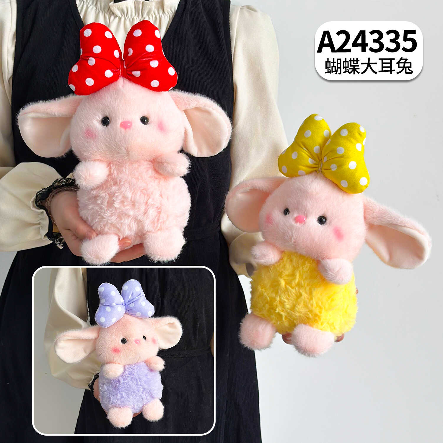 A24335