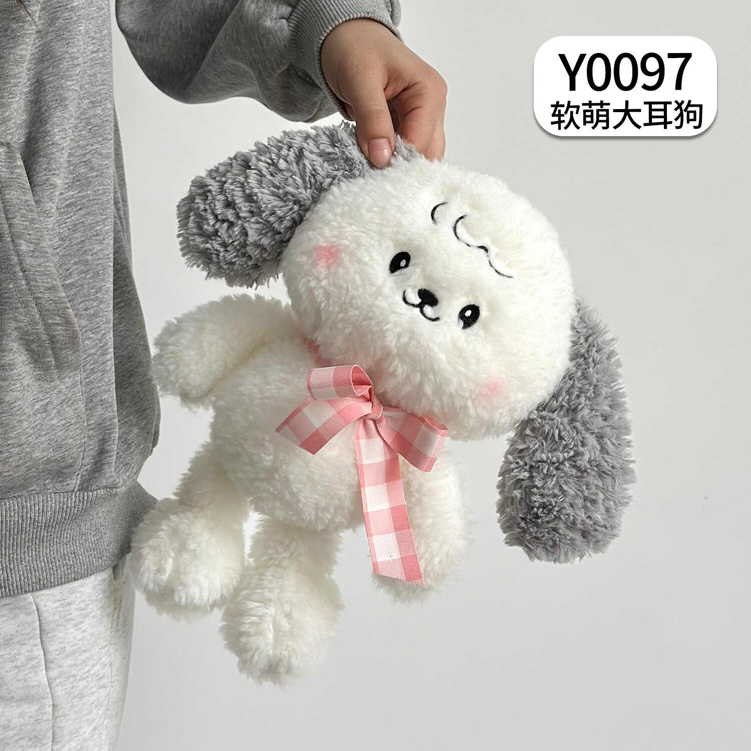 Y0097