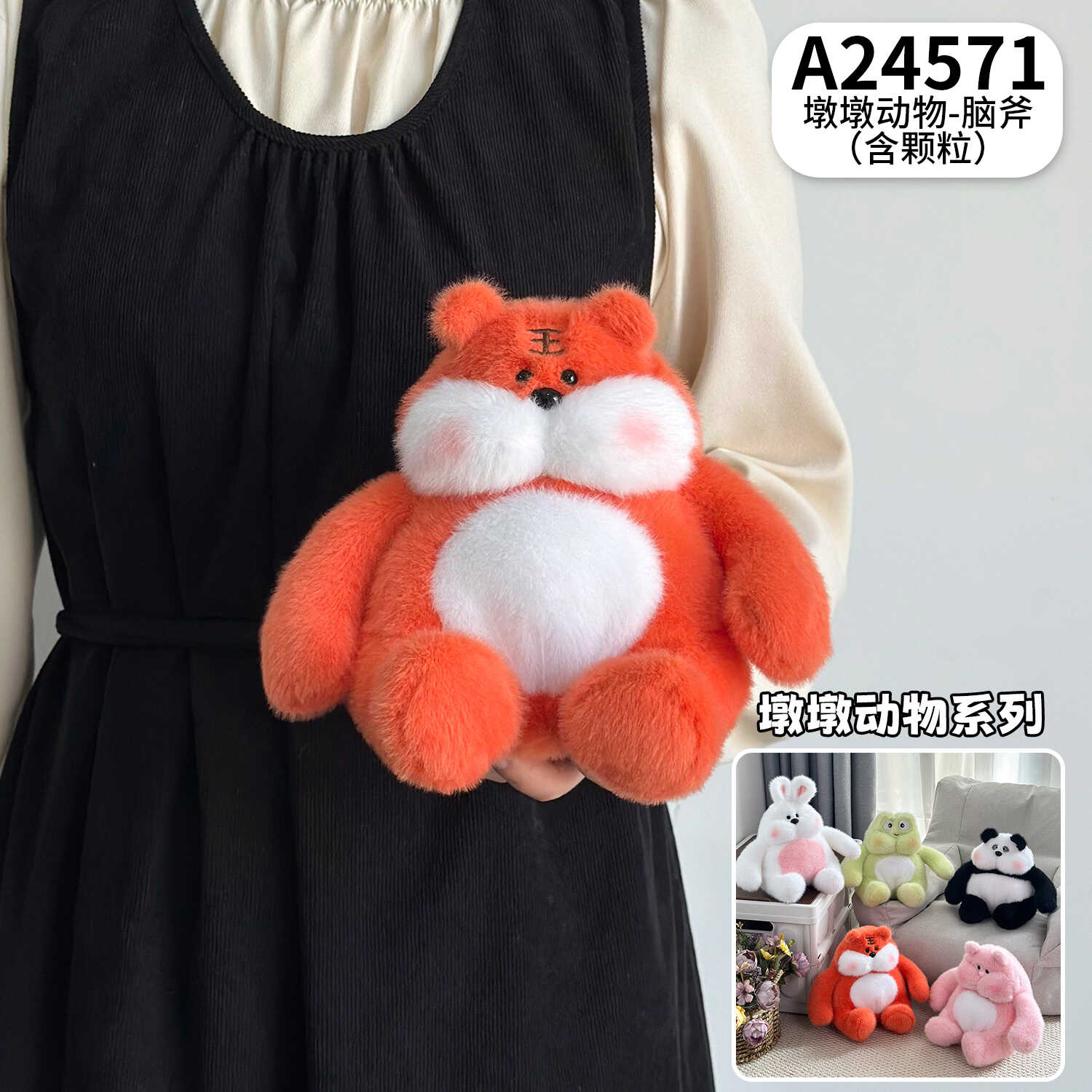 A24571