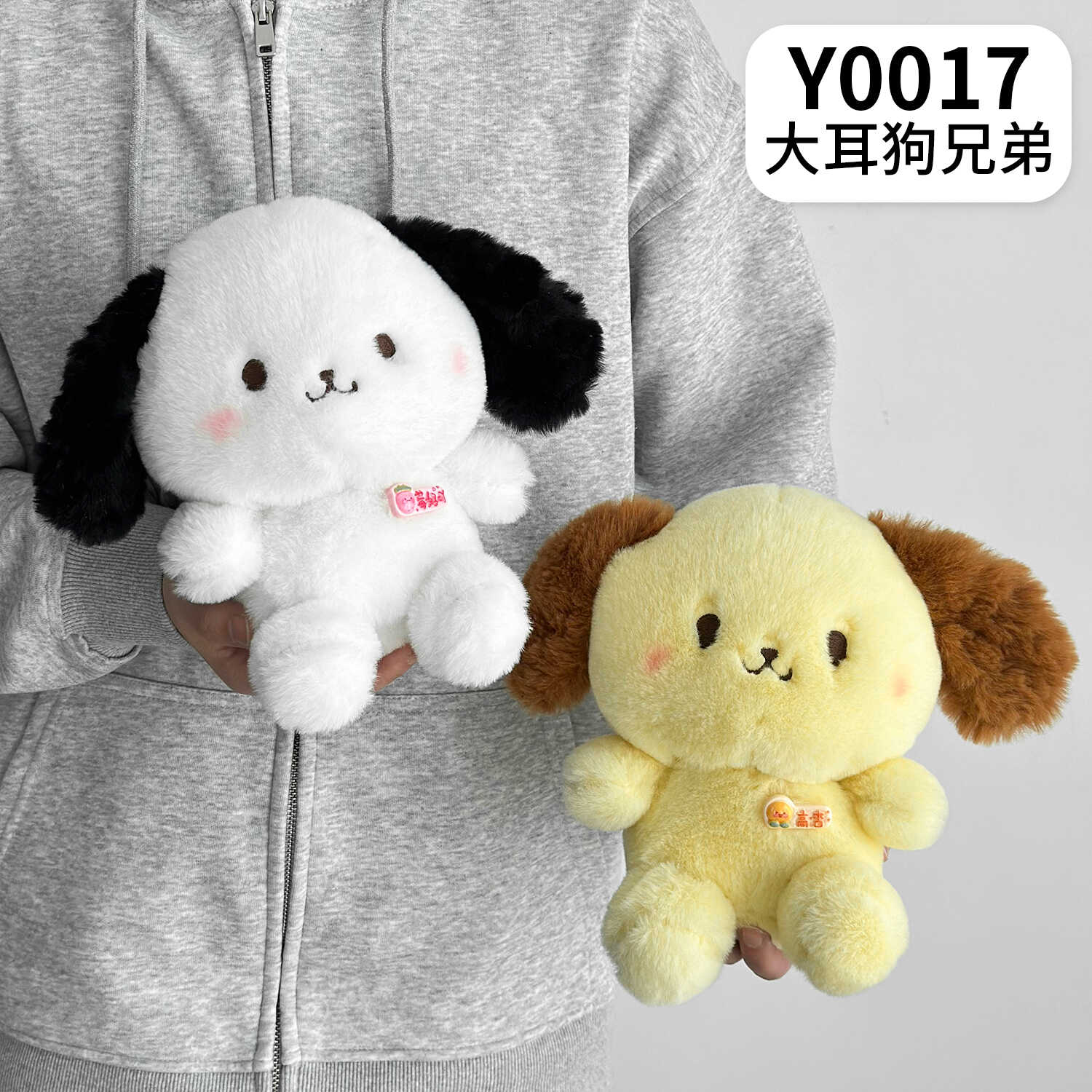 Y0017