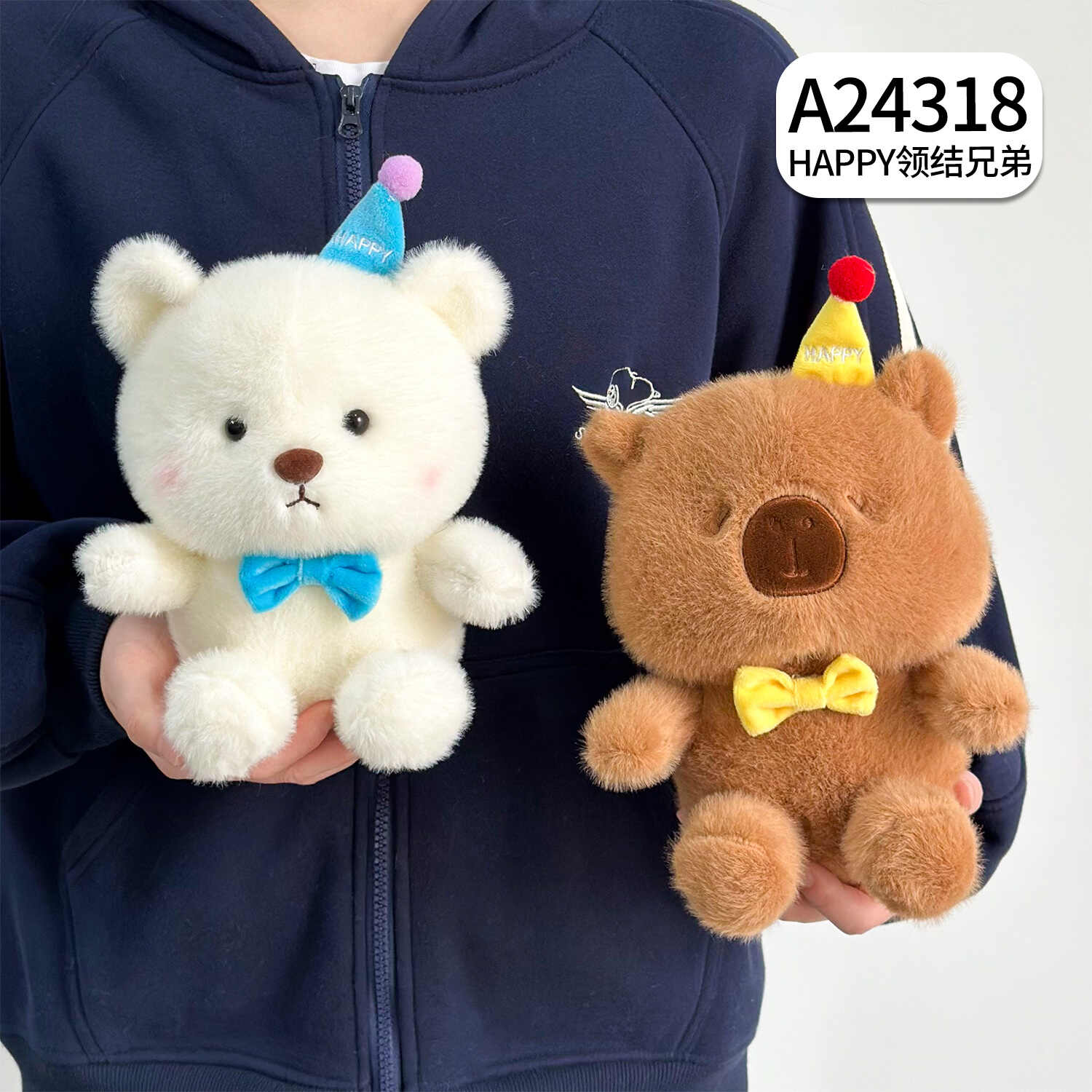 A24318