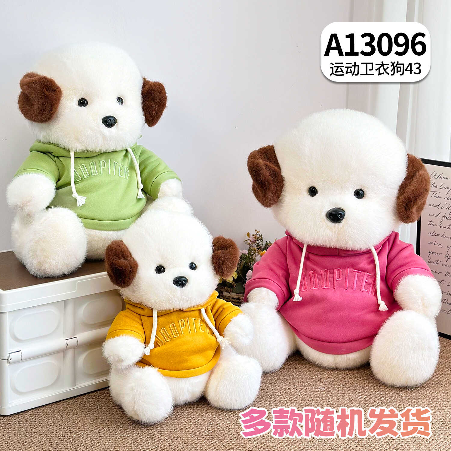 A13096