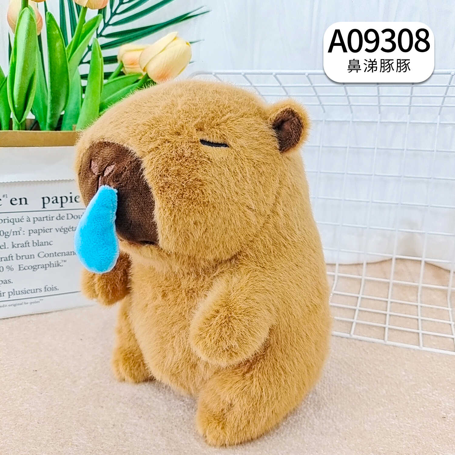 A09308