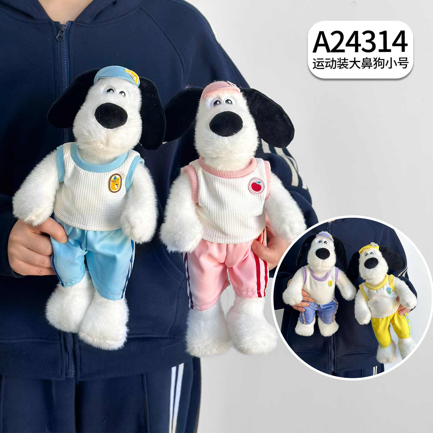 A24314