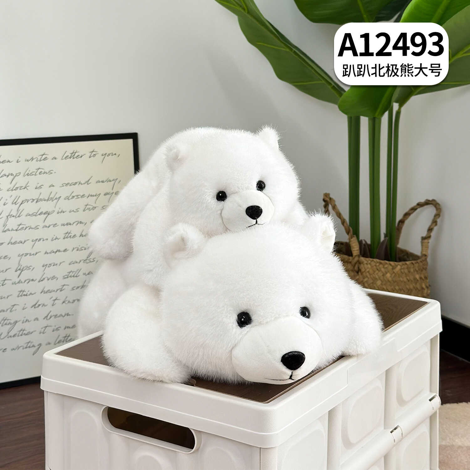 A12493