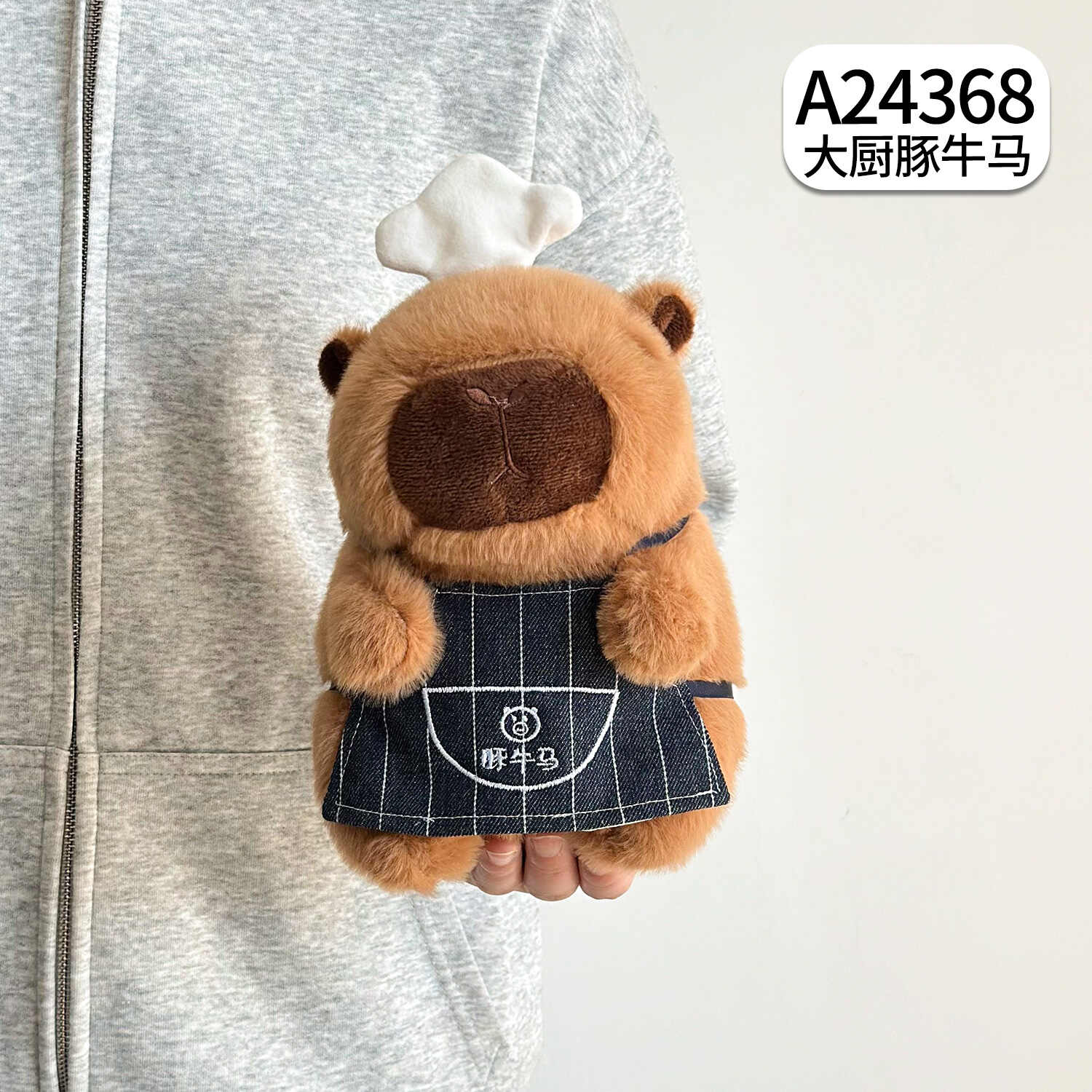 A24368