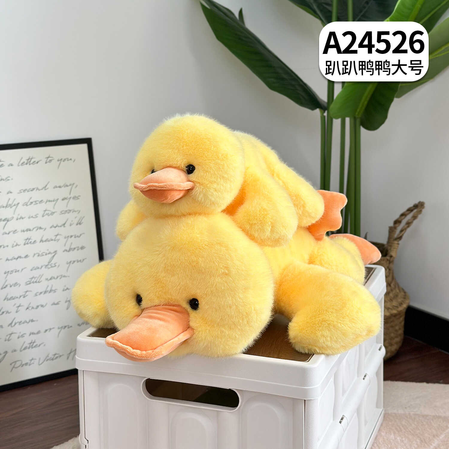A24526