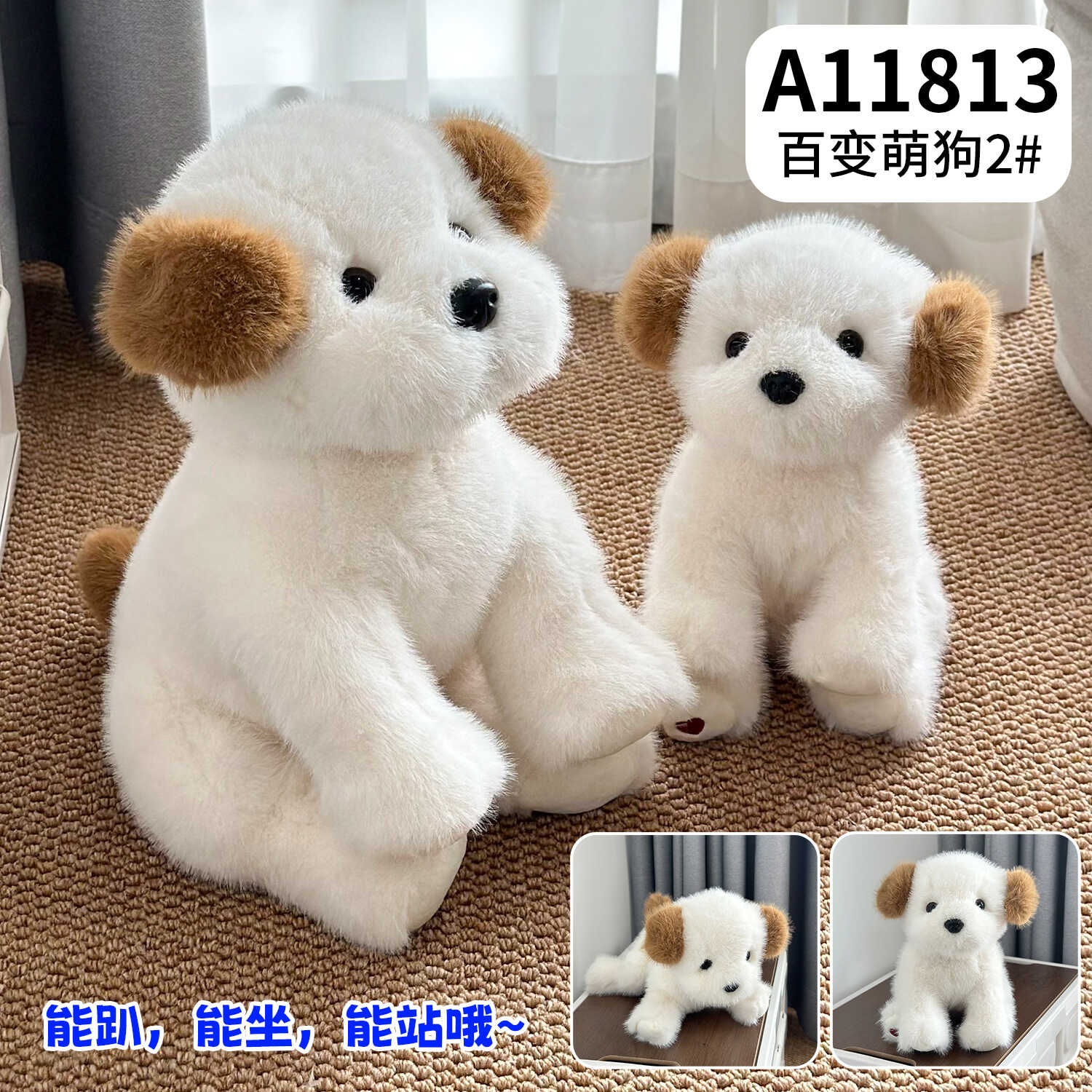 A11813