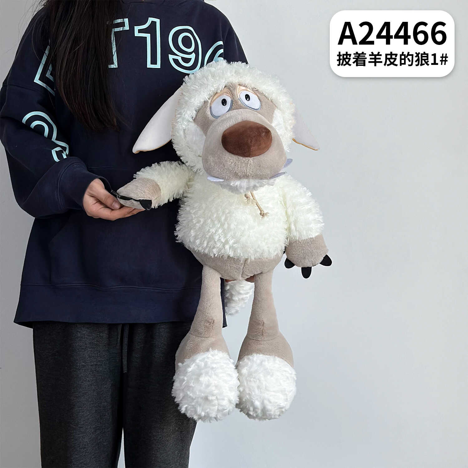 A24466