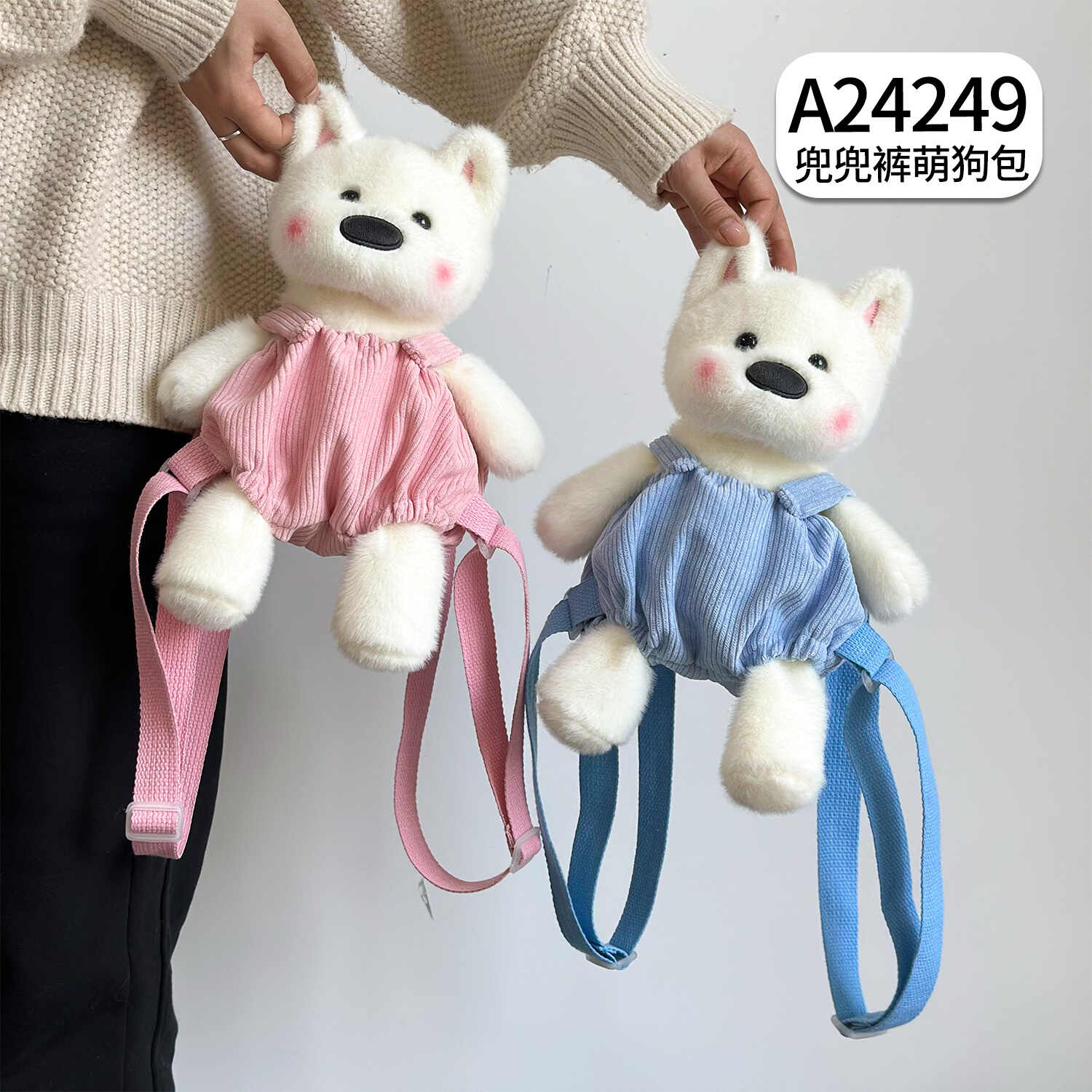 A24249
