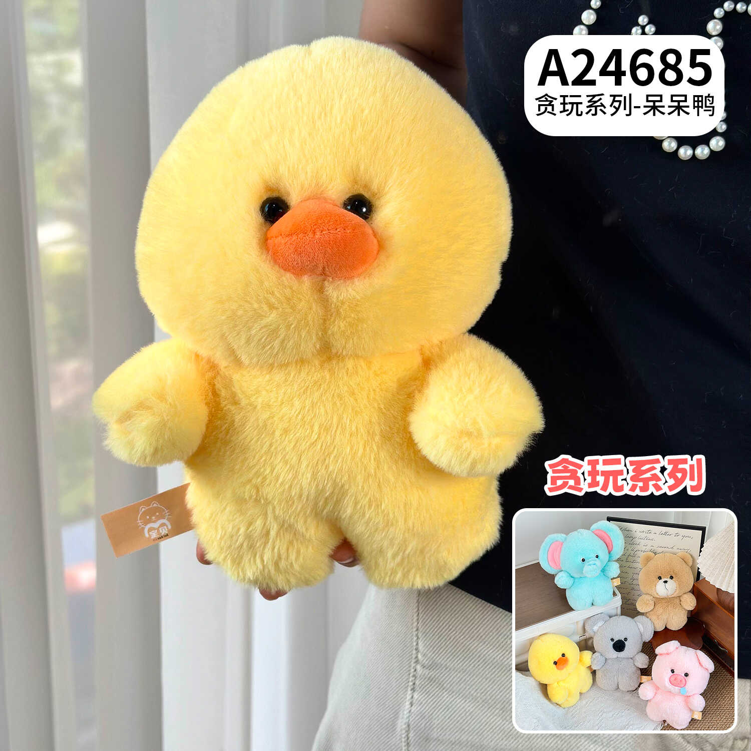 A24685