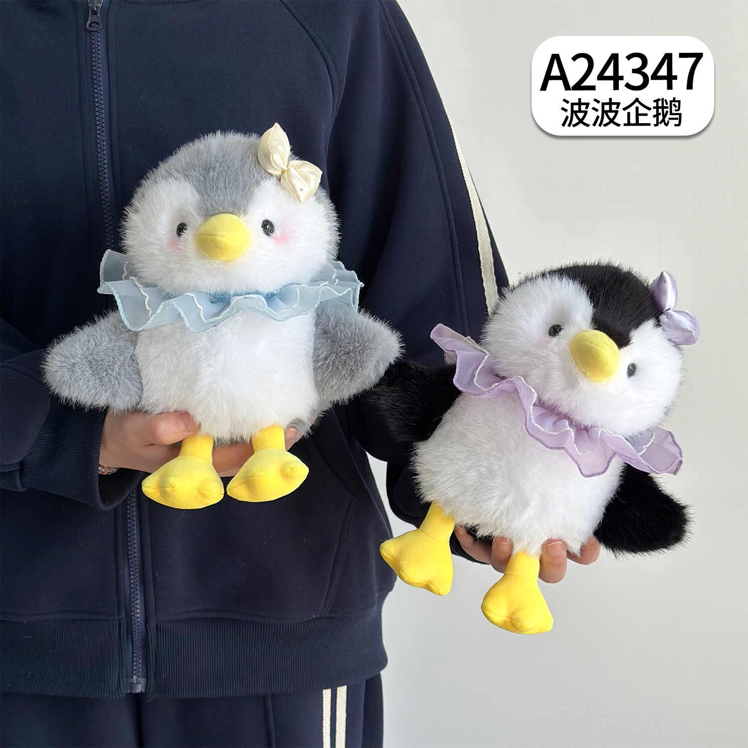 A24347