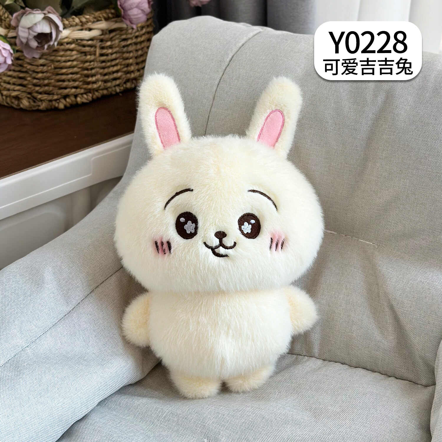 Y0228