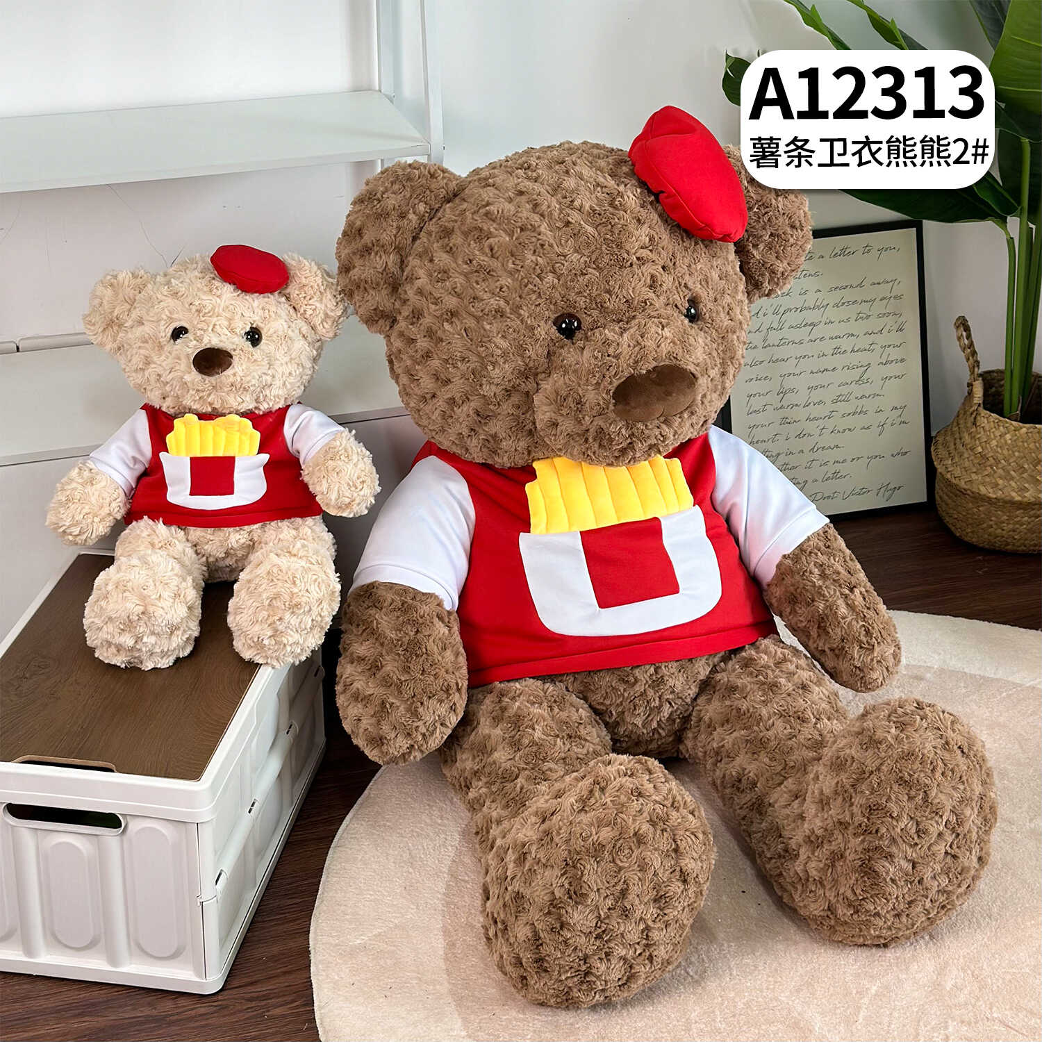 A12313