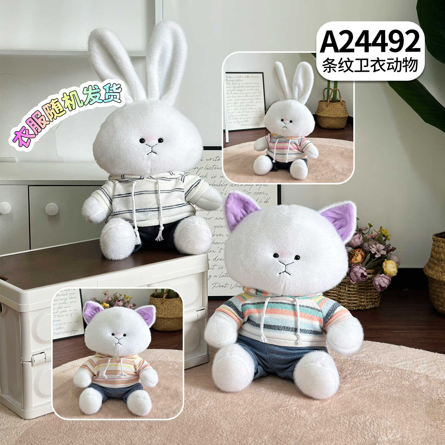 A24492