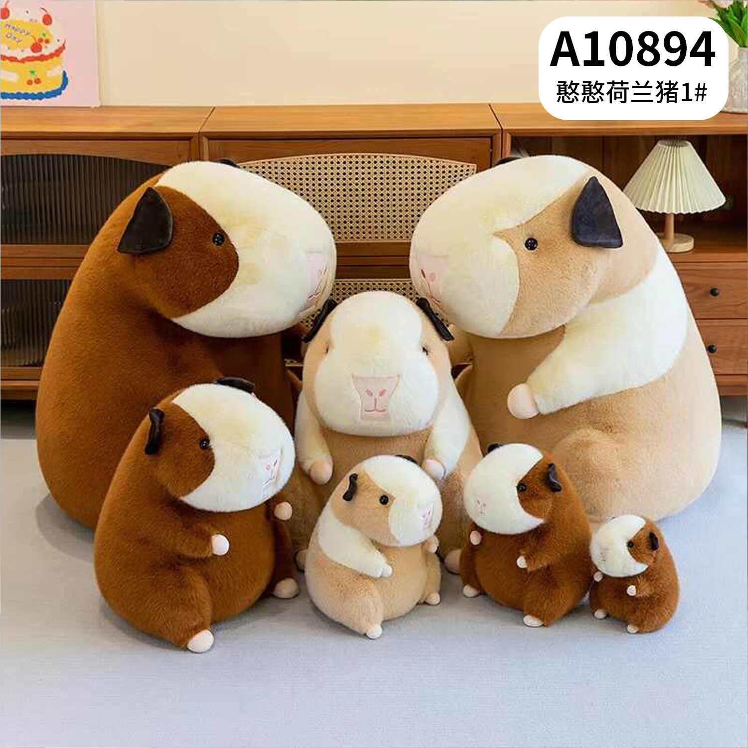 A10894