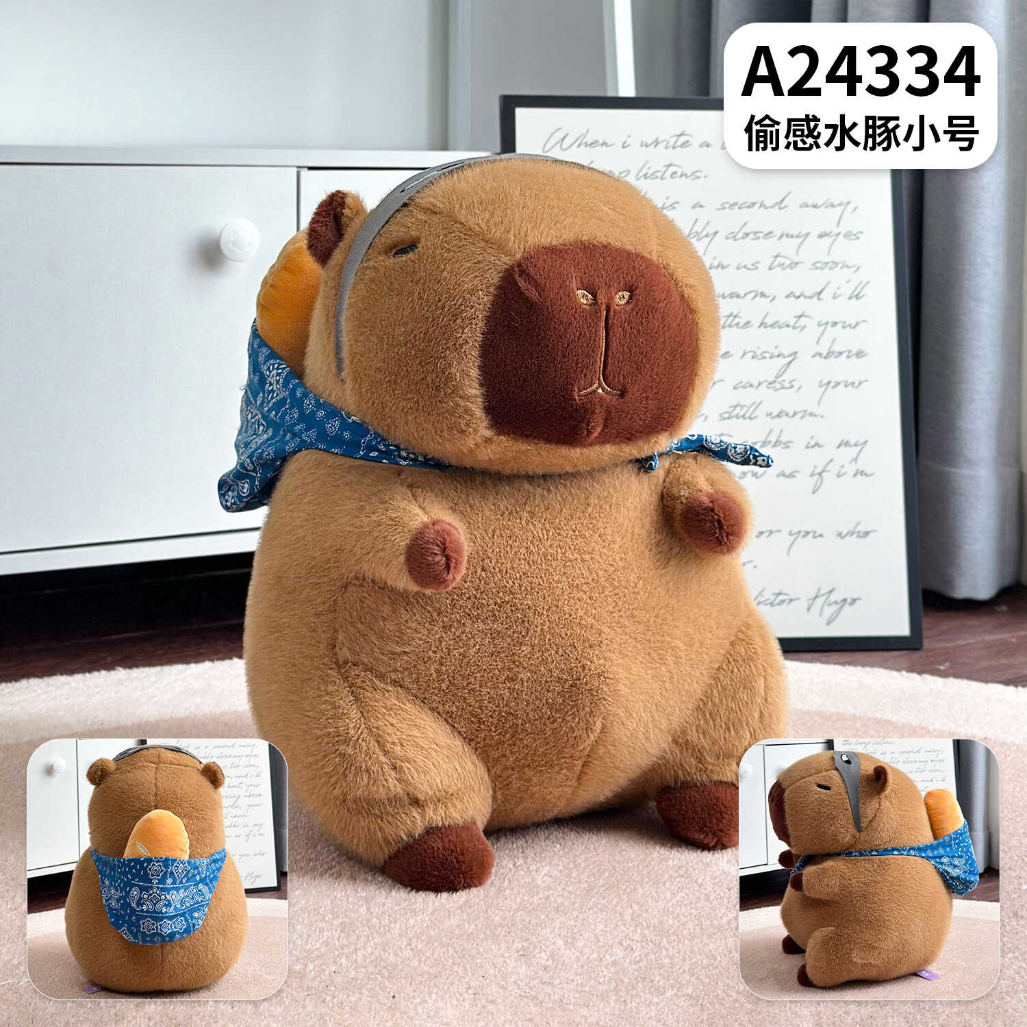 A24334