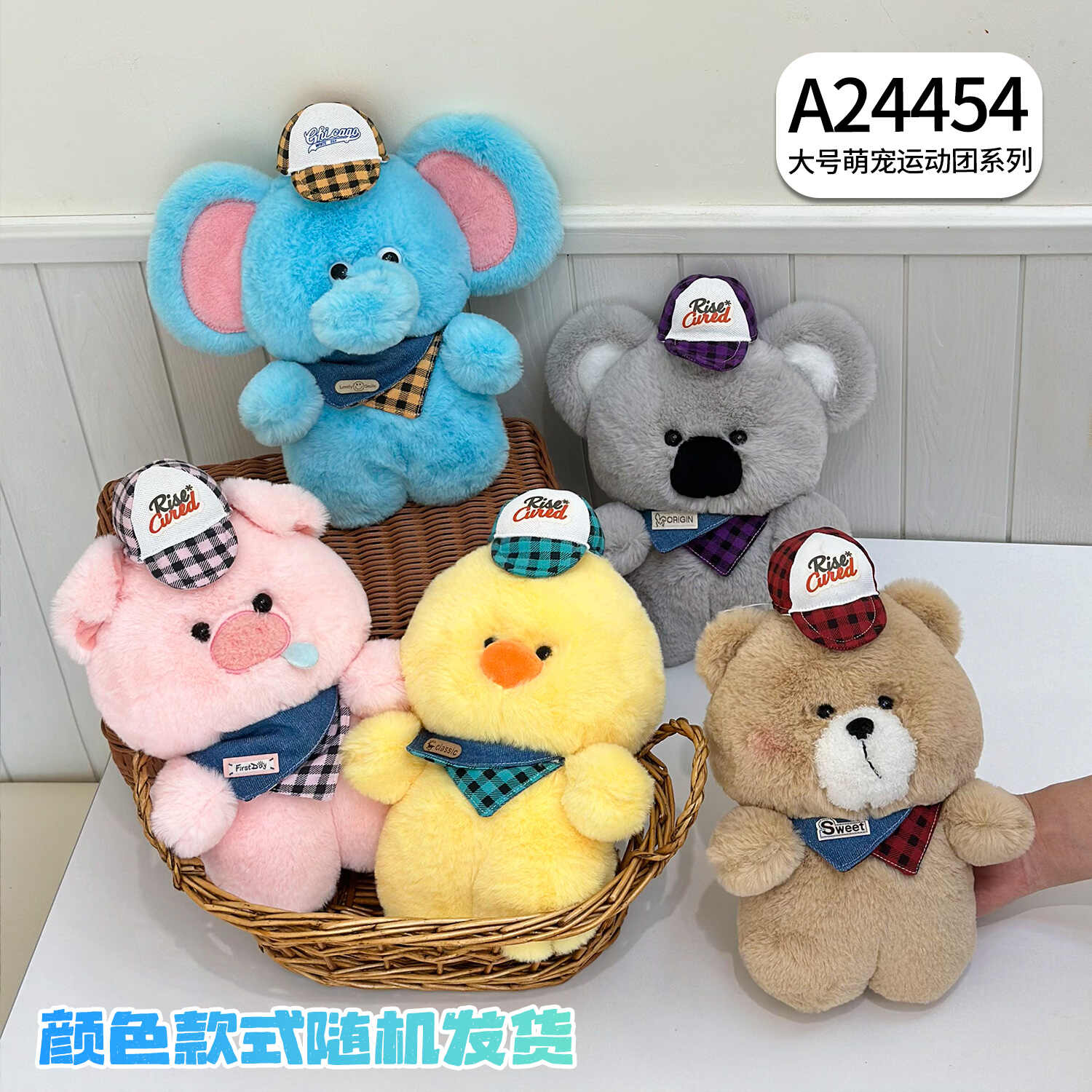 A24454