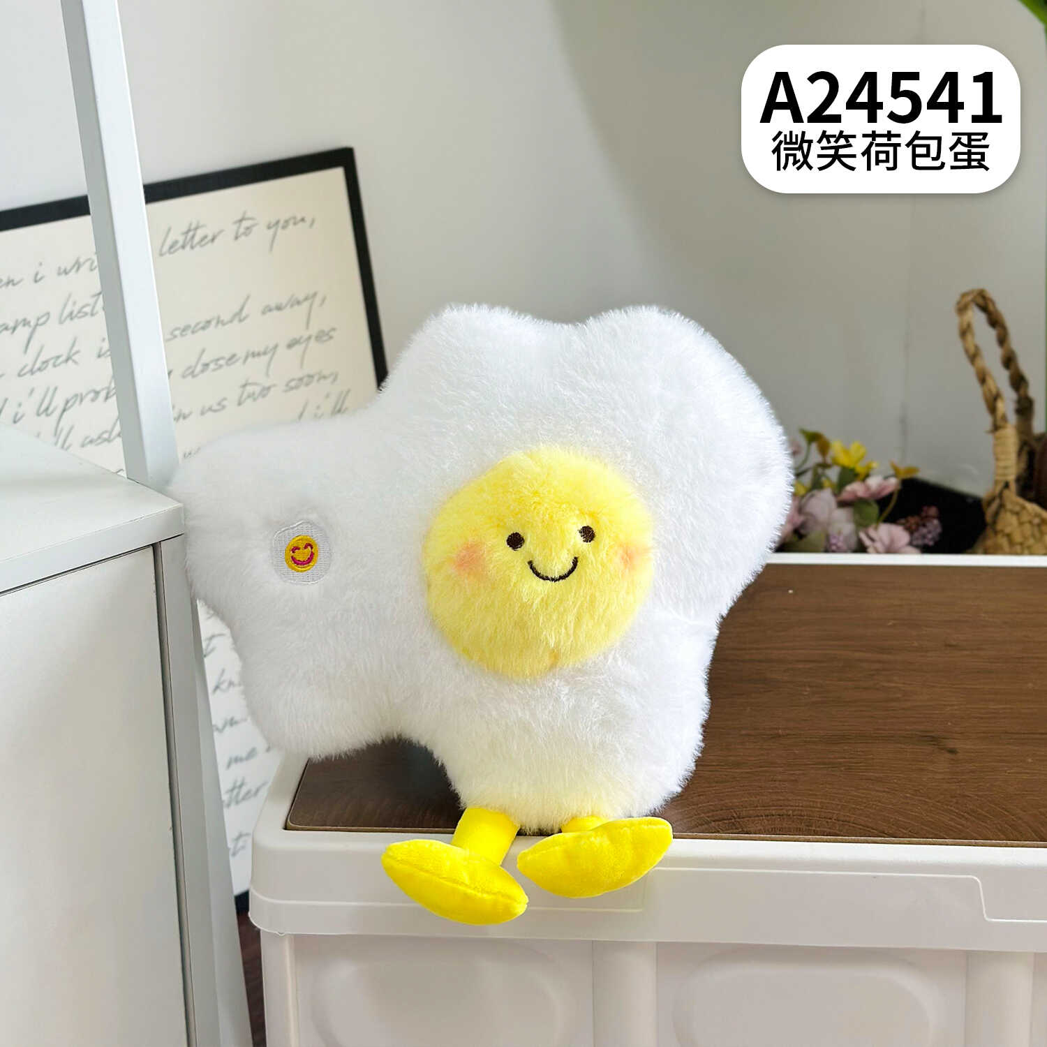 A24541