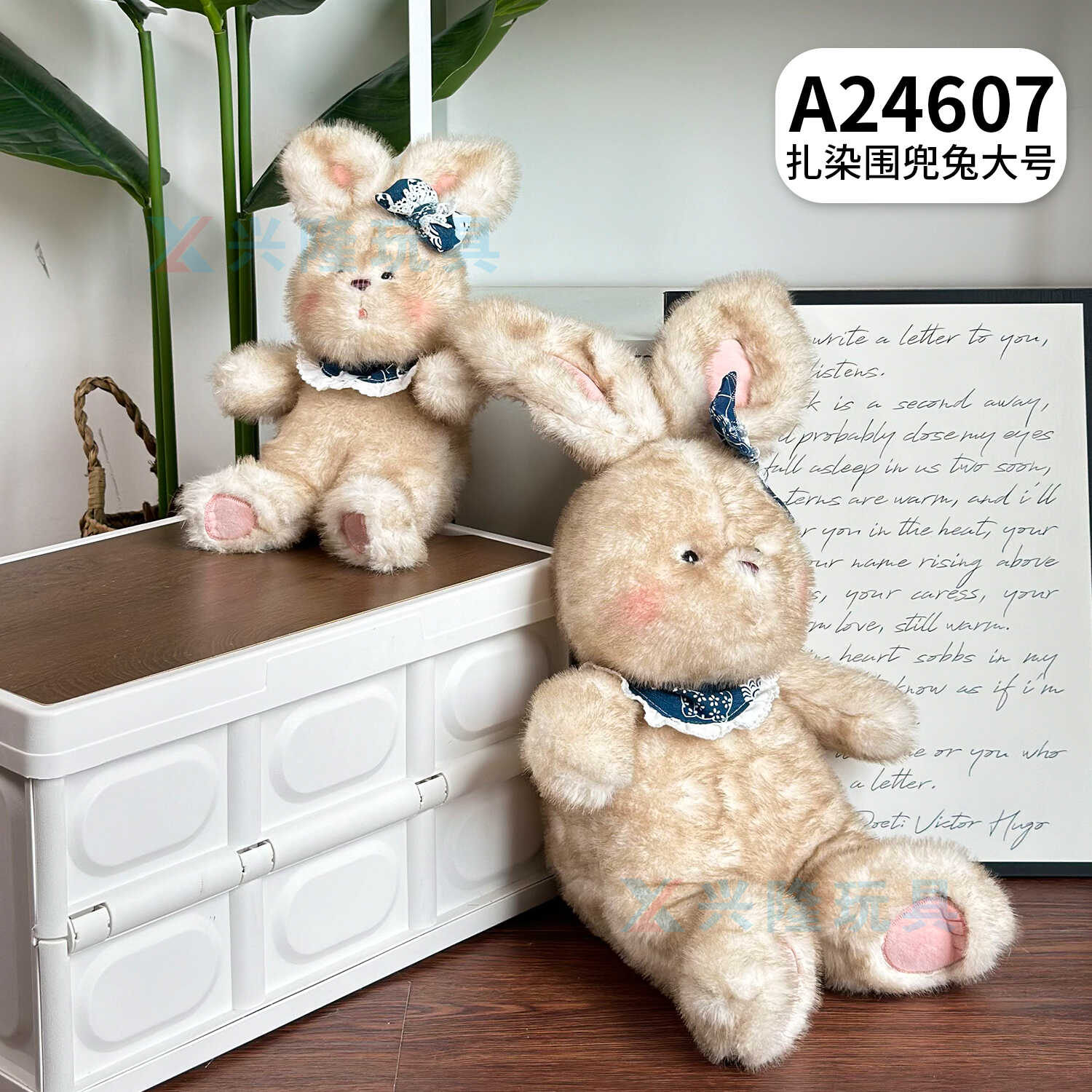 A24607