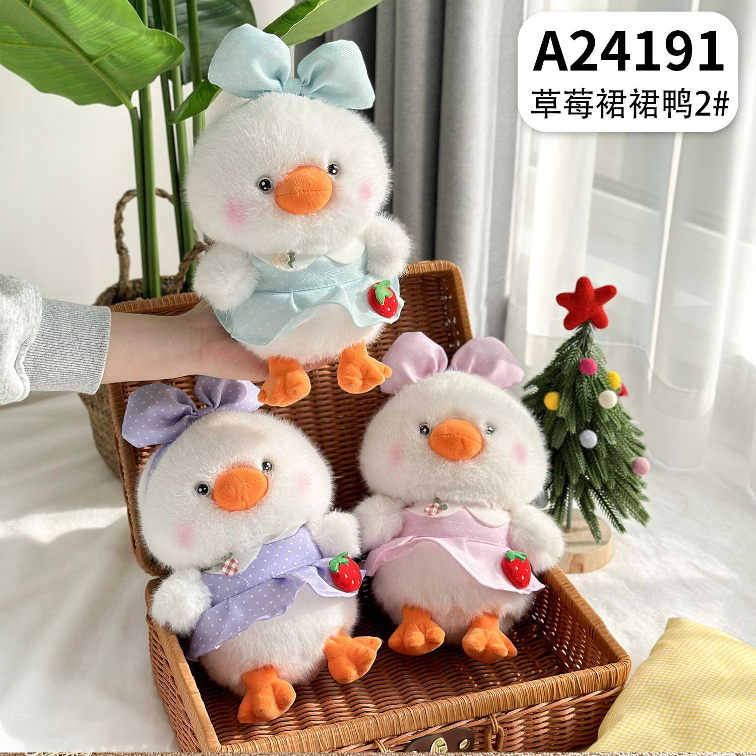 A24191