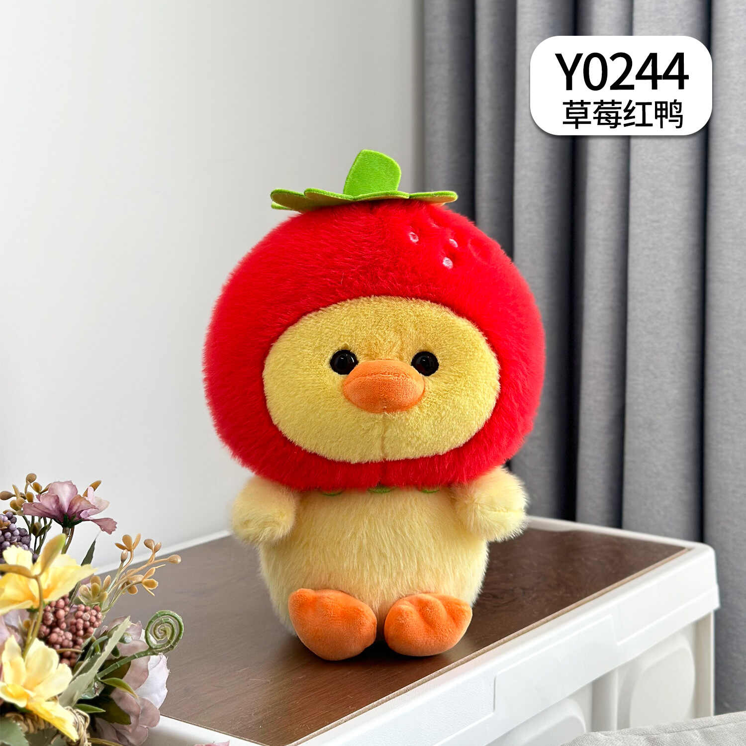 Y0244