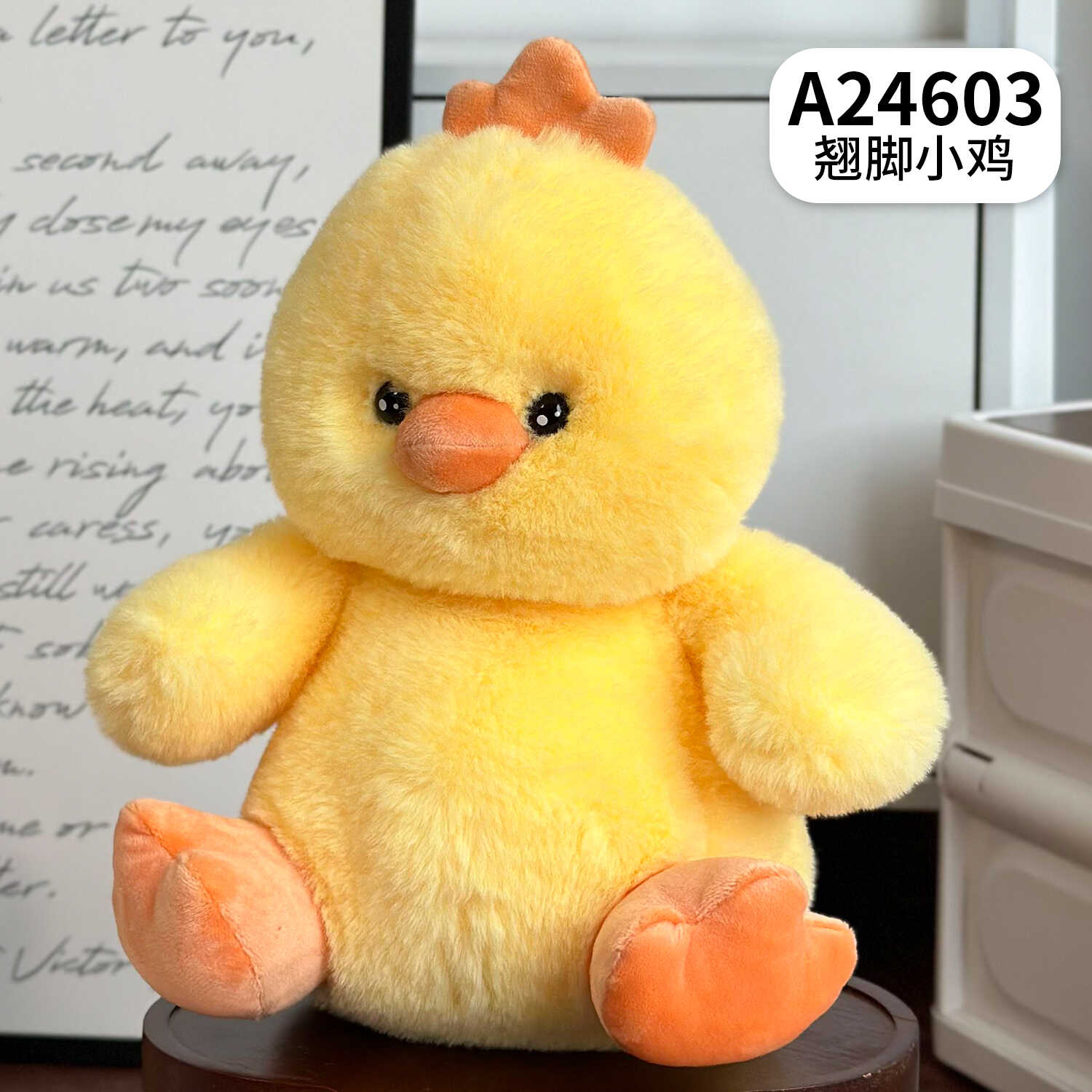 A24603